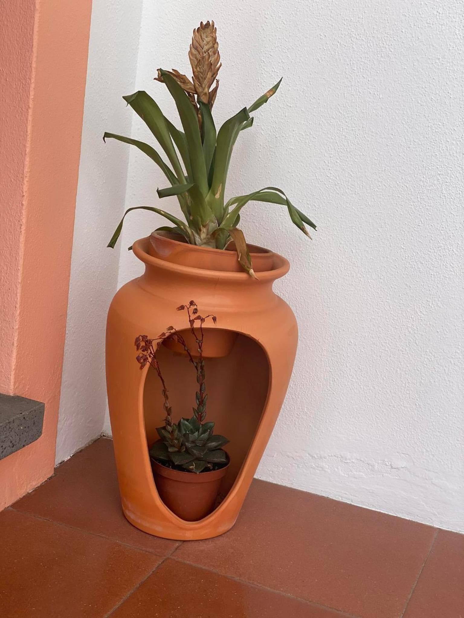 Apartamentos São João, Horta, photo 4