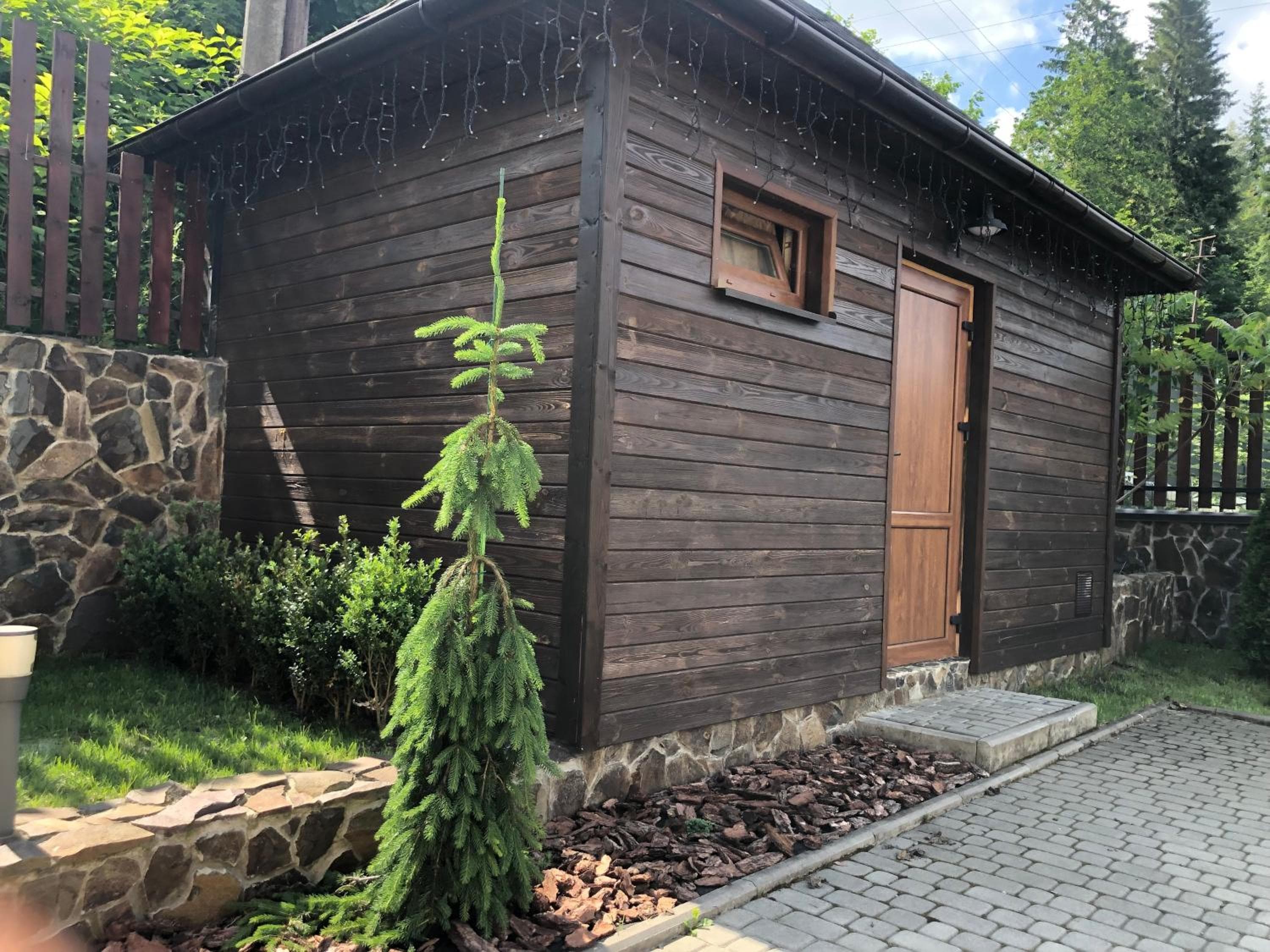 TOTEM, Skhidnitsa, photo 4