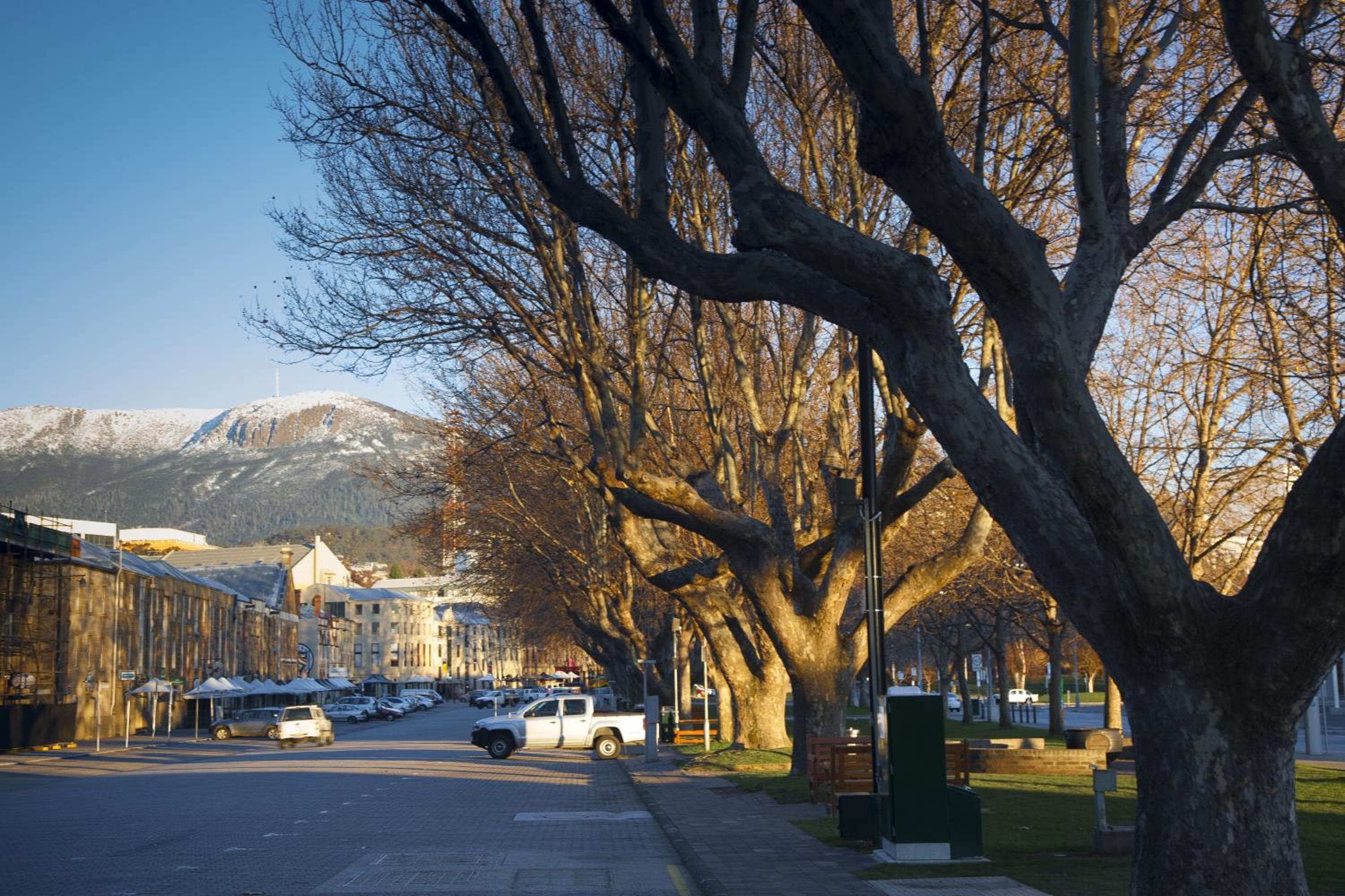 Salamanca Terraces, Hobart, photo 5