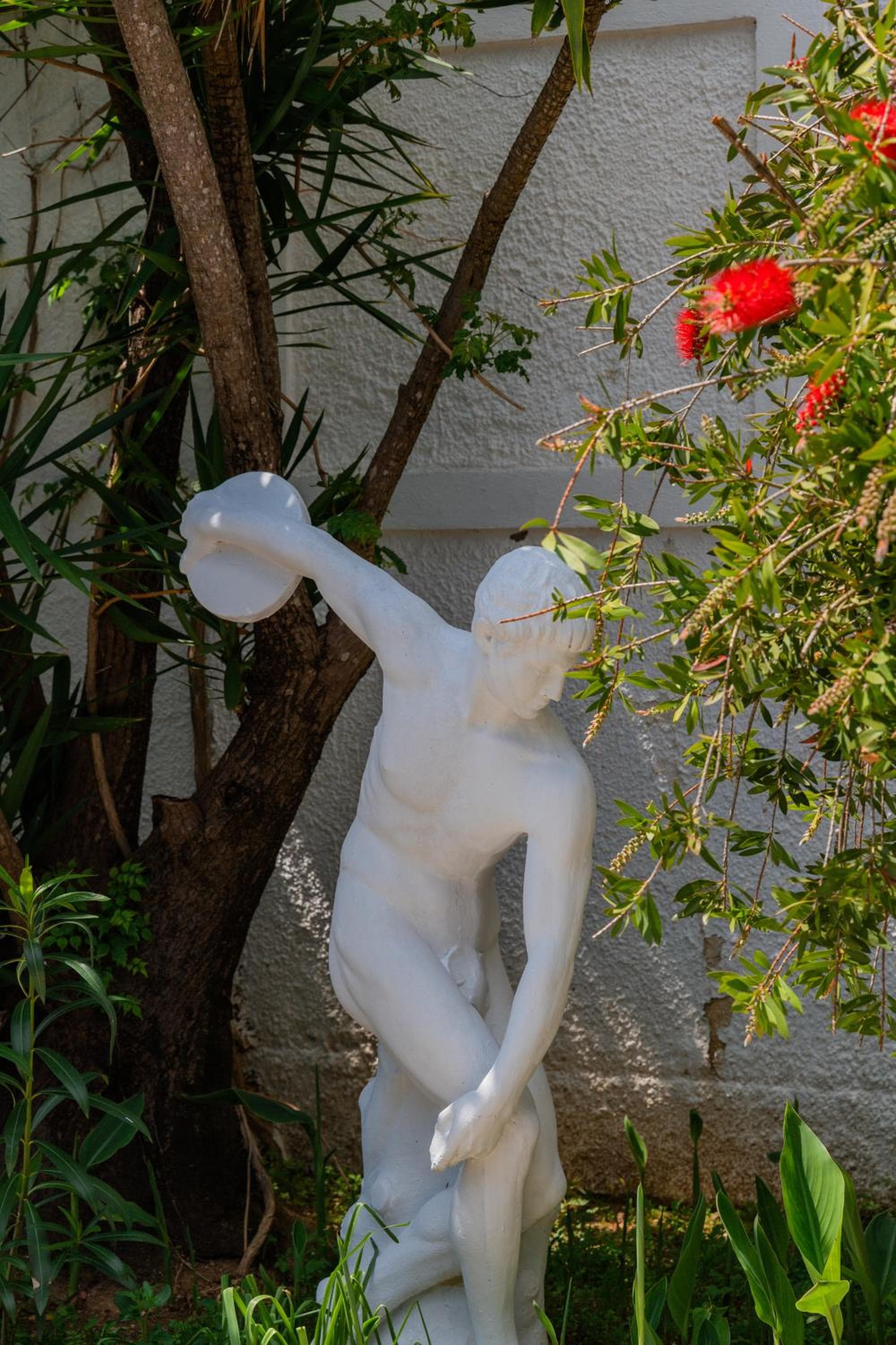 Valentino Corfu, Ýpsos, photo 6