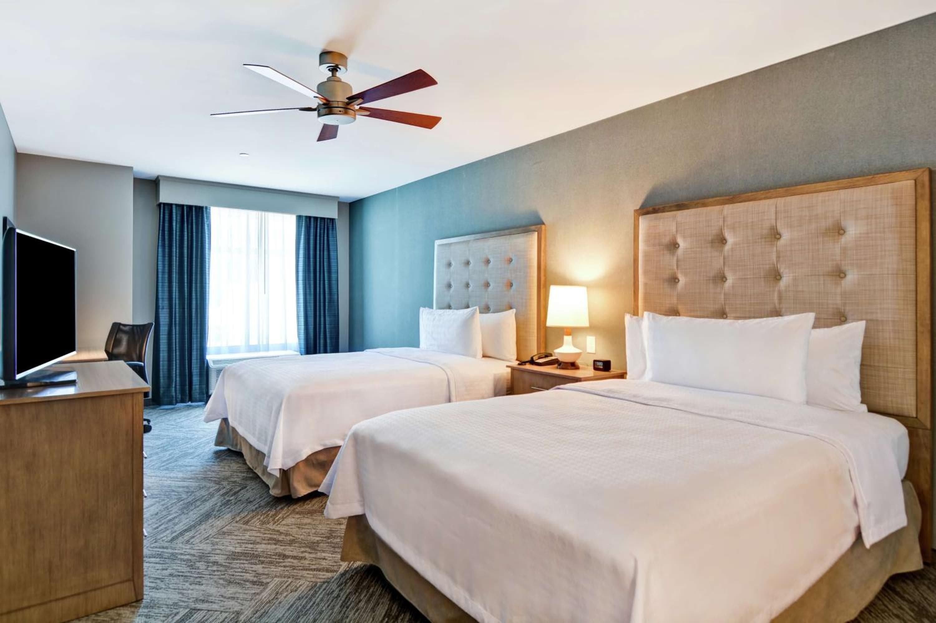 Homewood Suites By Hilton Hadley Amherst, Hadley, photo 2