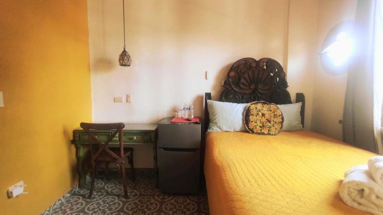 Nunõ, San Miguel de Allende, photo 3