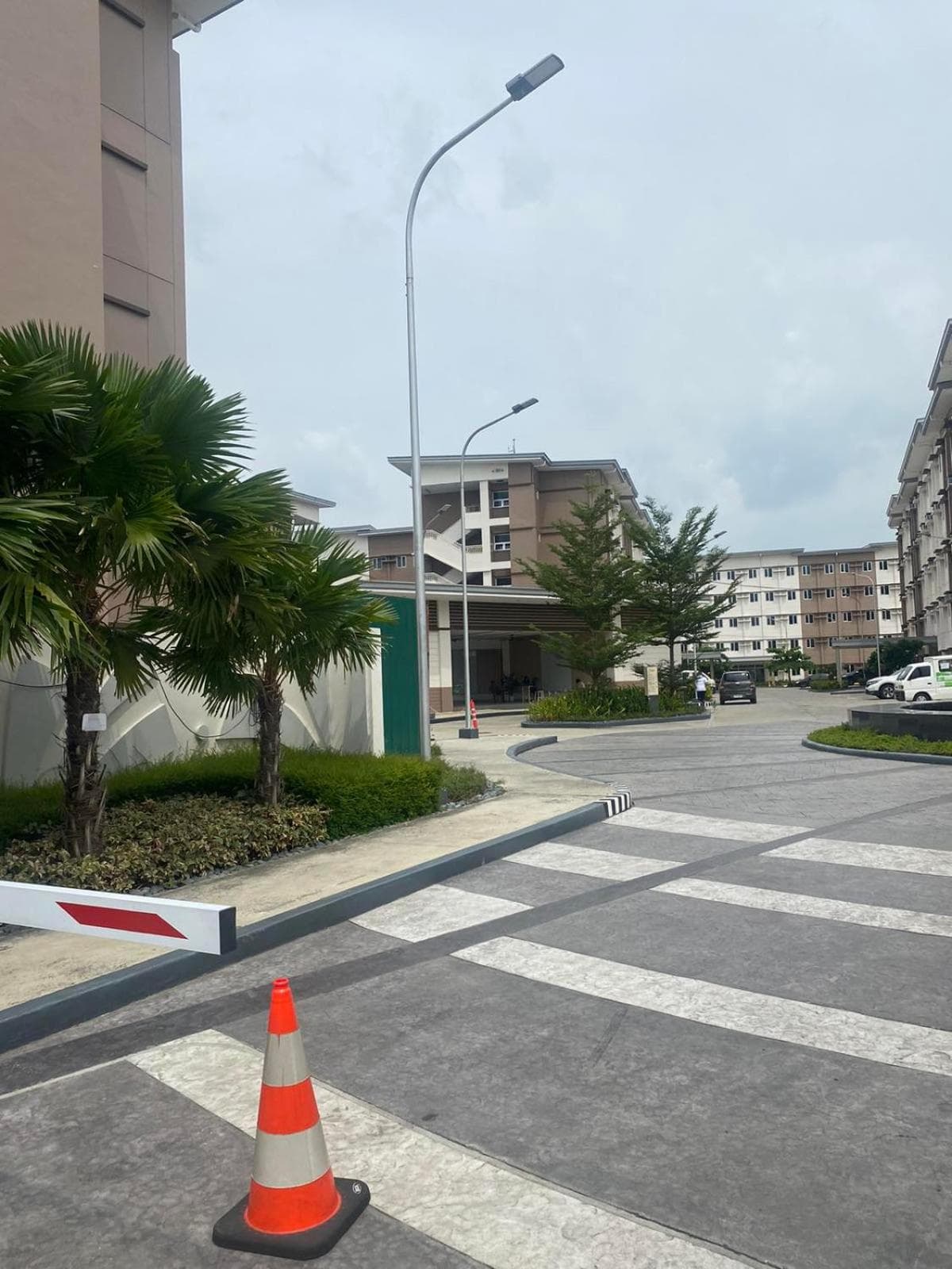Twenty-Nine Cats - SMDC Cheer Residences Marilao, Marilao, photo 6