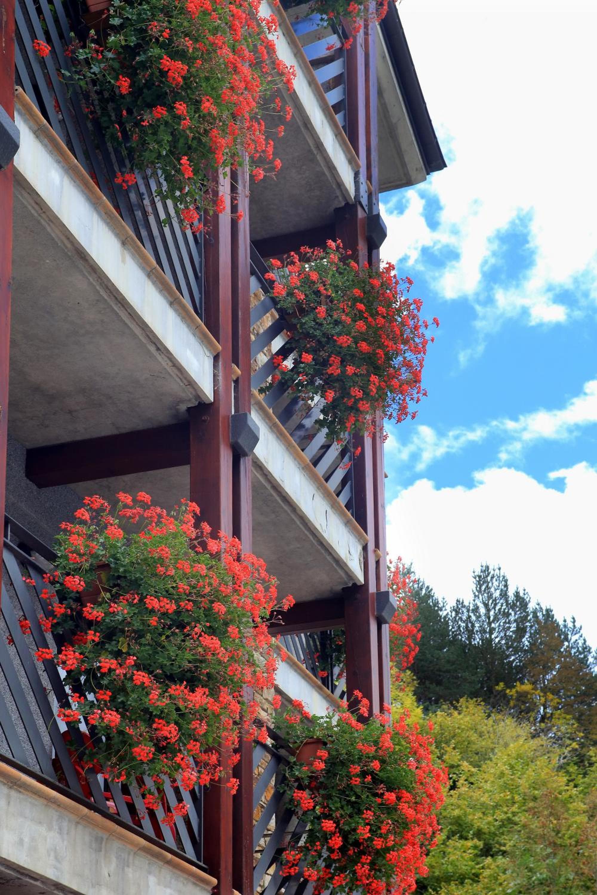 Vista Arinsal Apartments, Arinsal, photo 4