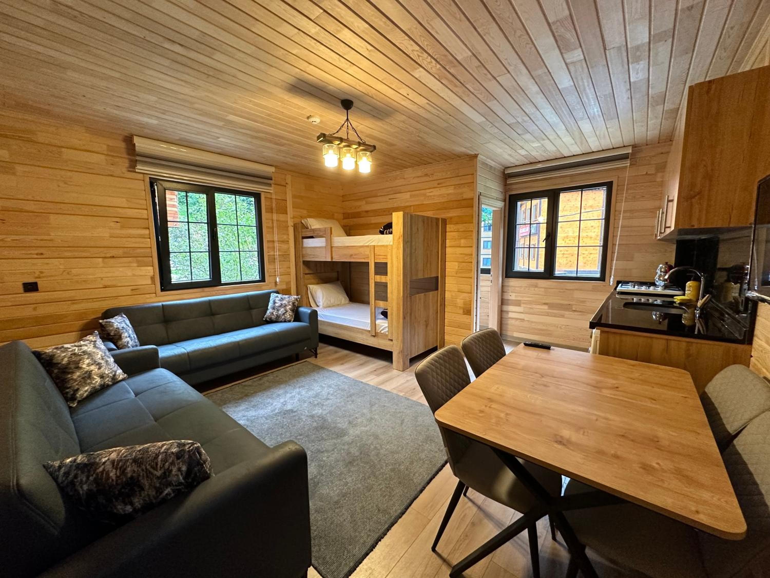 Paye Suite, Uzungol, photo 3