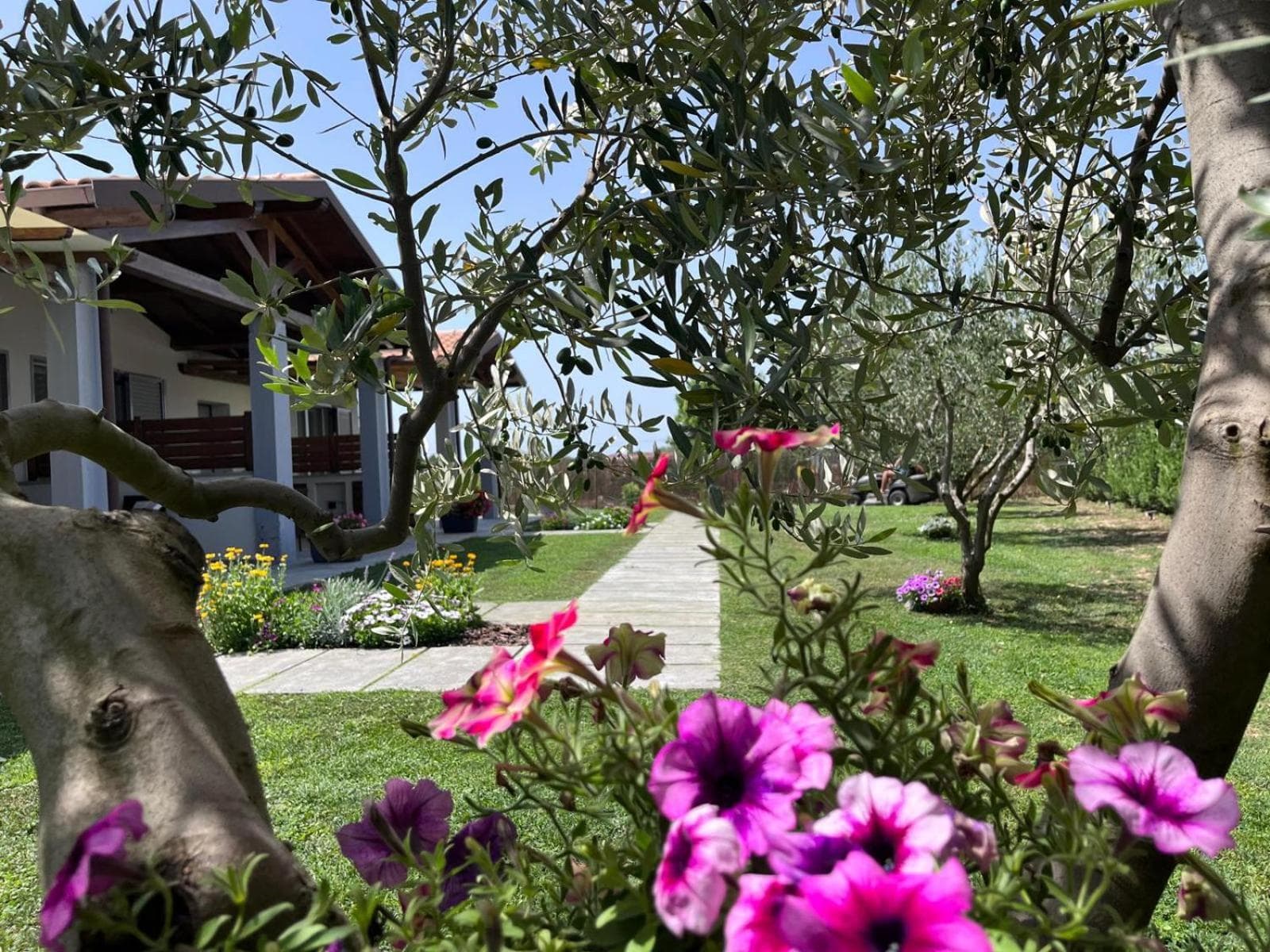 Residence la Pace - Pool & Relax, Marina di Grosseto, photo 5