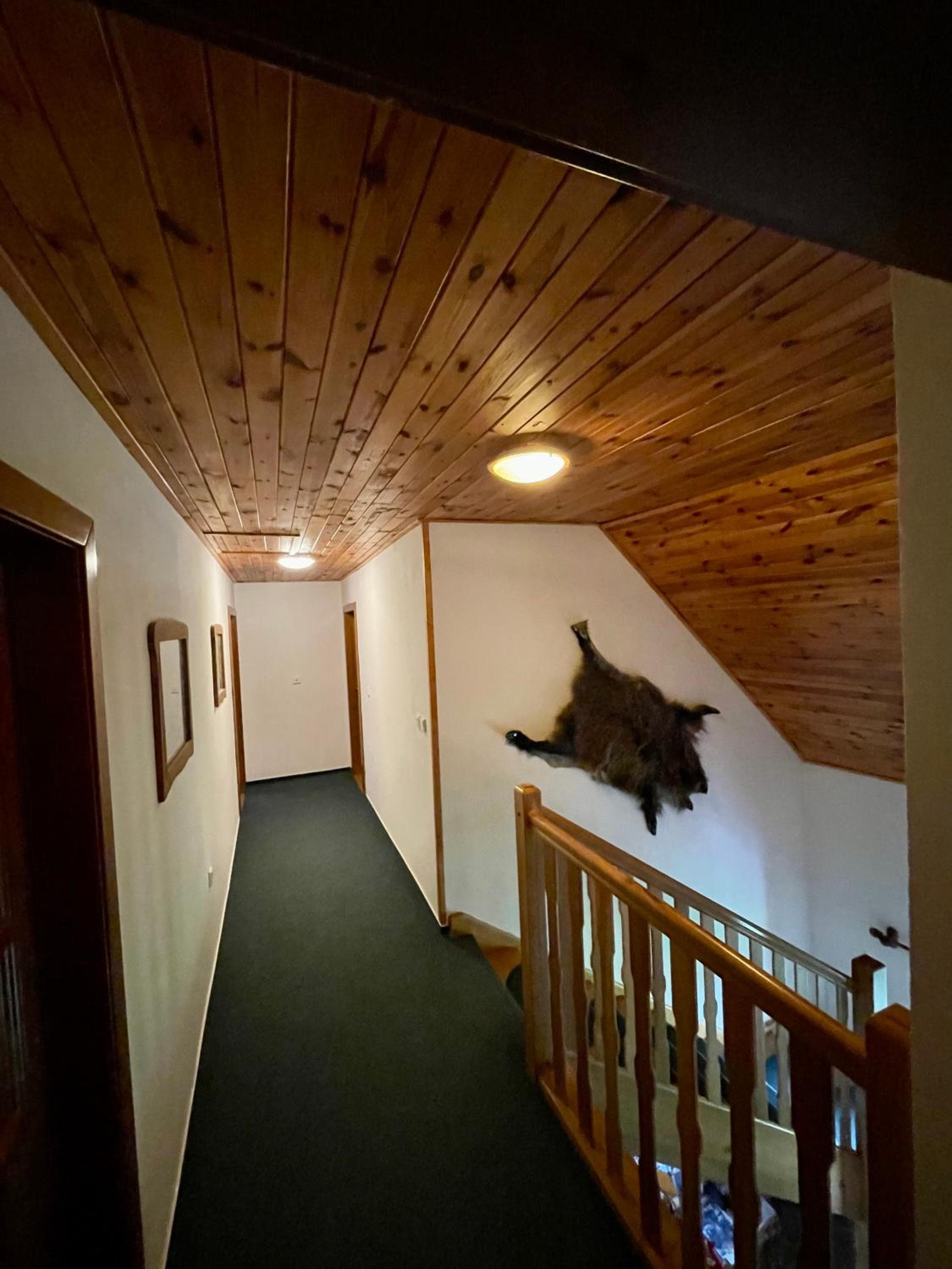 Třetí chalupa U Smrčiny, Janske Lazne, photo 2