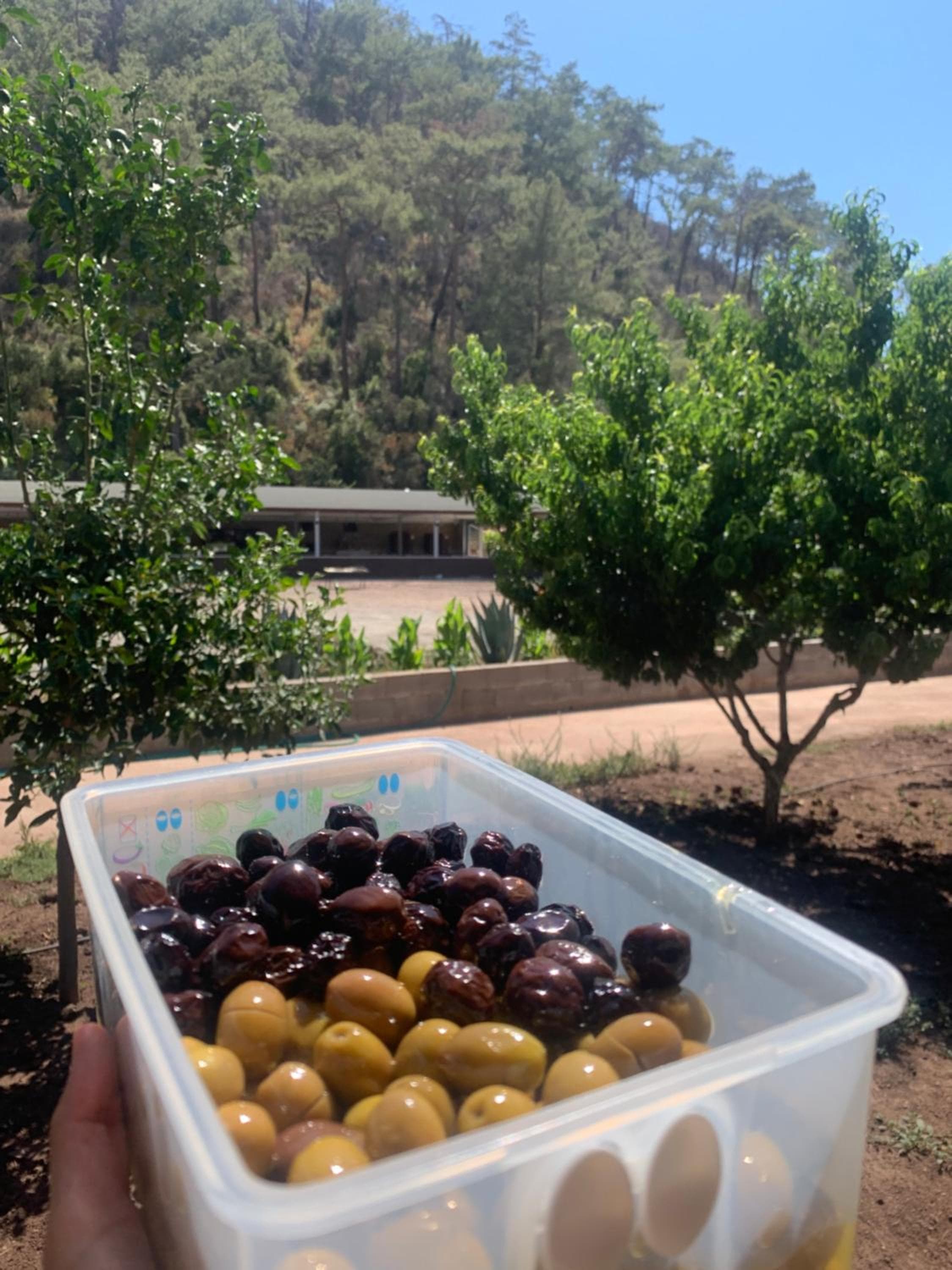 Doga Ciftlik Konaklama, Marmaris, photo 2