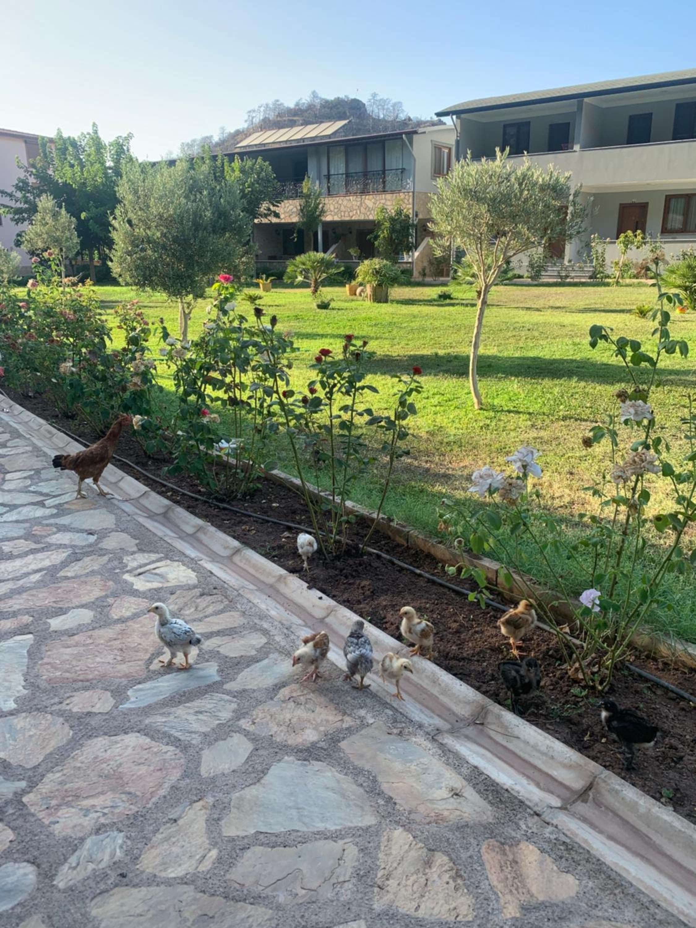 Doga Ciftlik Konaklama, Marmaris, photo 5