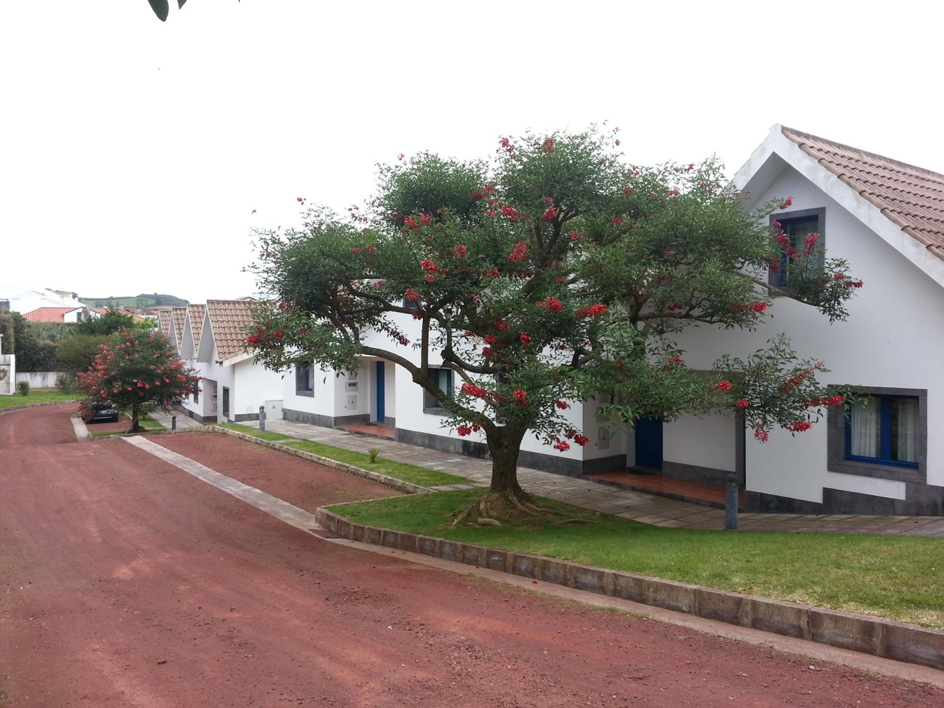 Apartamentos Turisticos Nossa Senhora Da Estrela, Lagoa, photo 4