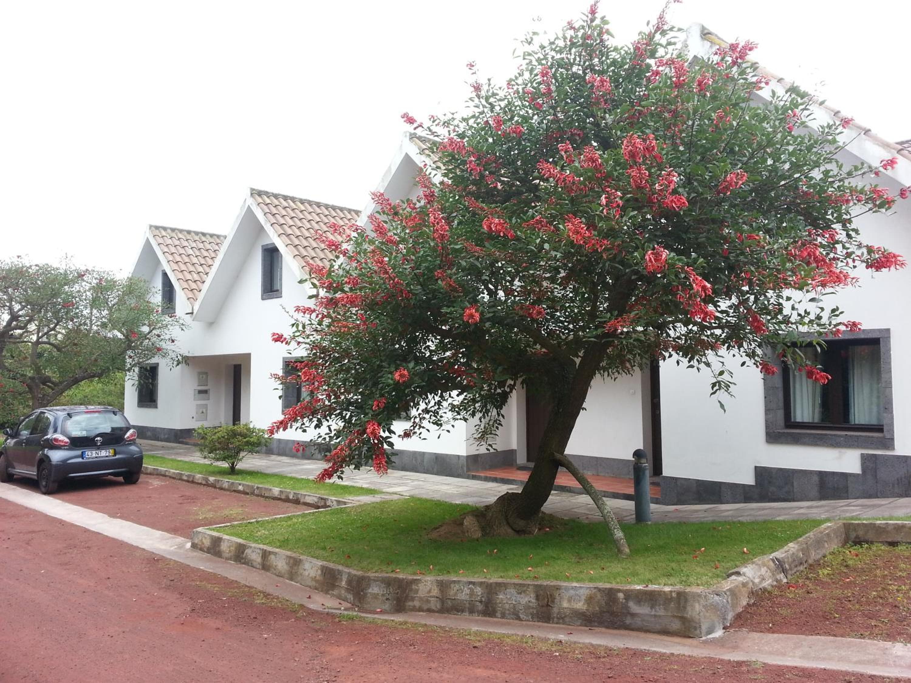 Apartamentos Turisticos Nossa Senhora Da Estrela, Lagoa