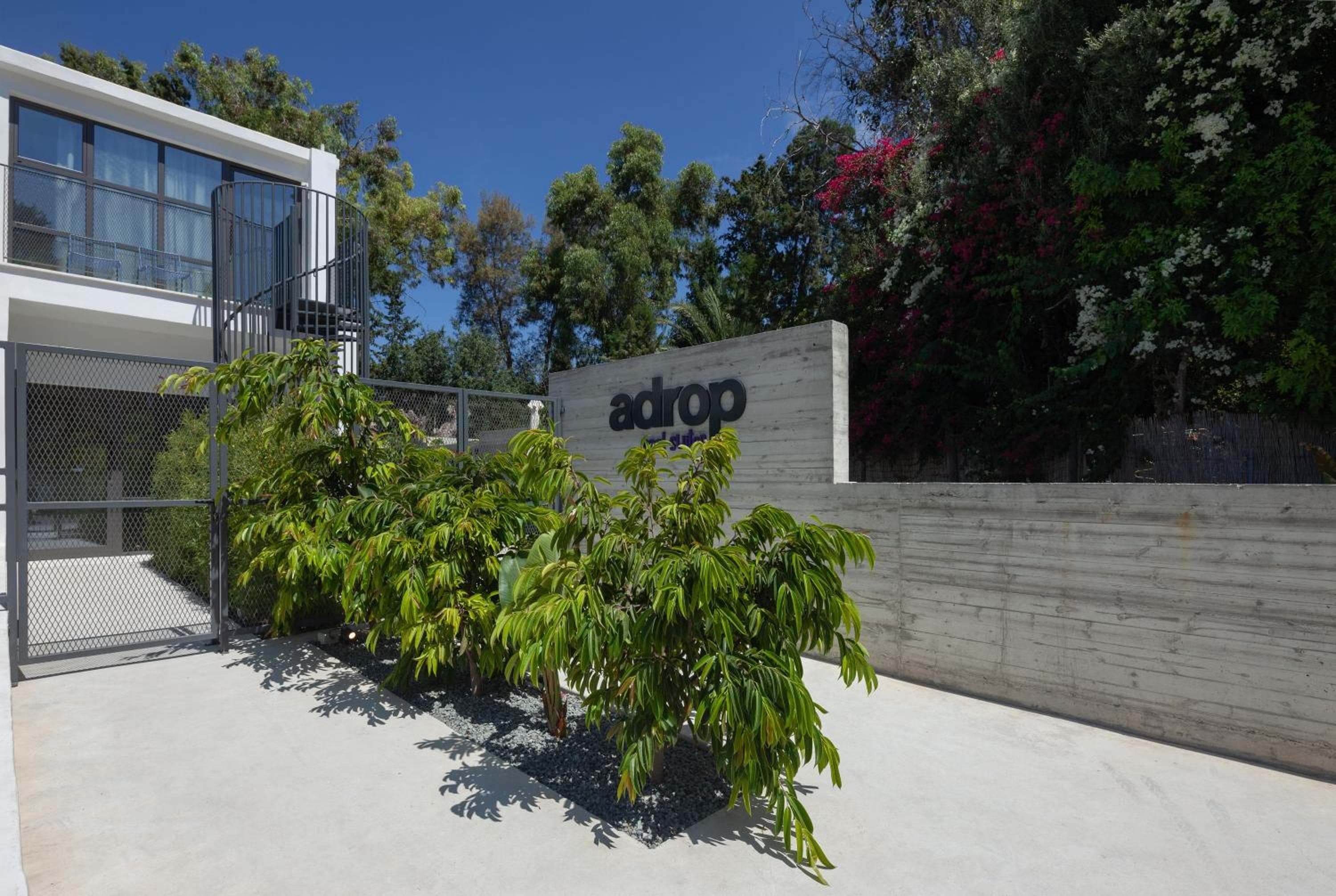 Adrop Pool Suites, Paphos City