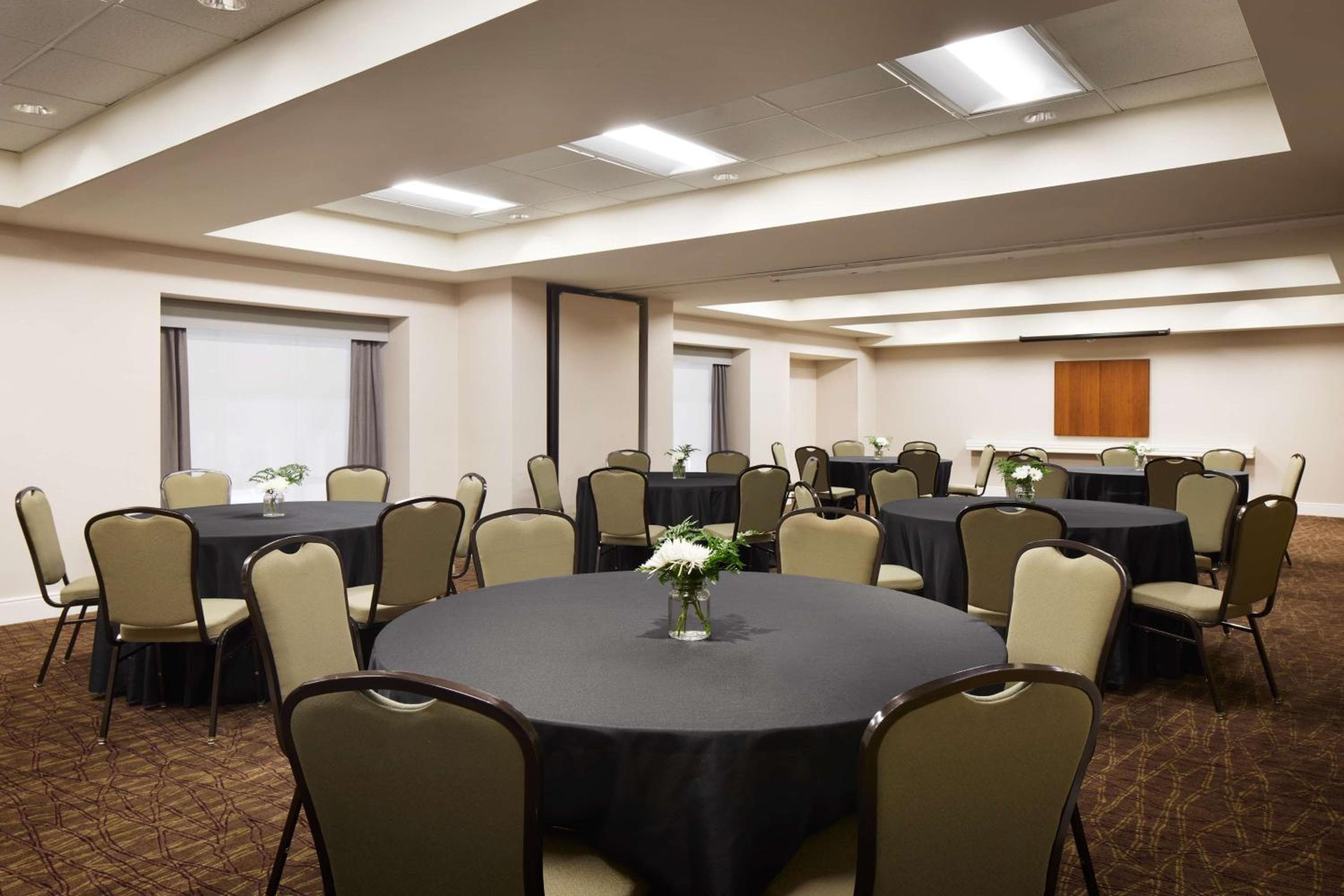 Homewood Suites by Hilton Baltimore-Washington Intl Apt, Linthicum Heights, photo 4