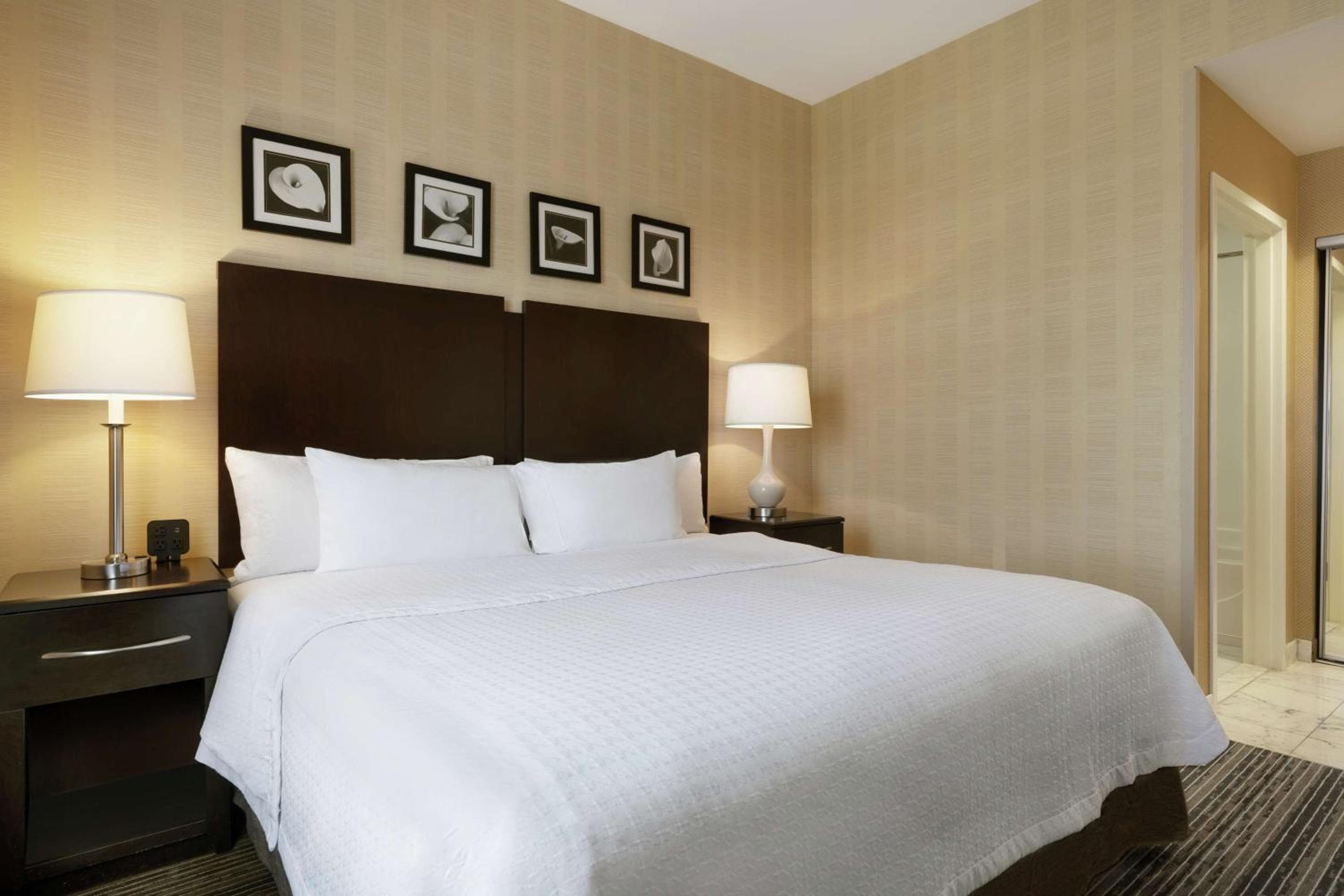 Homewood Suites by Hilton Newtown - Langhorne, PA, Newtown, photo 3
