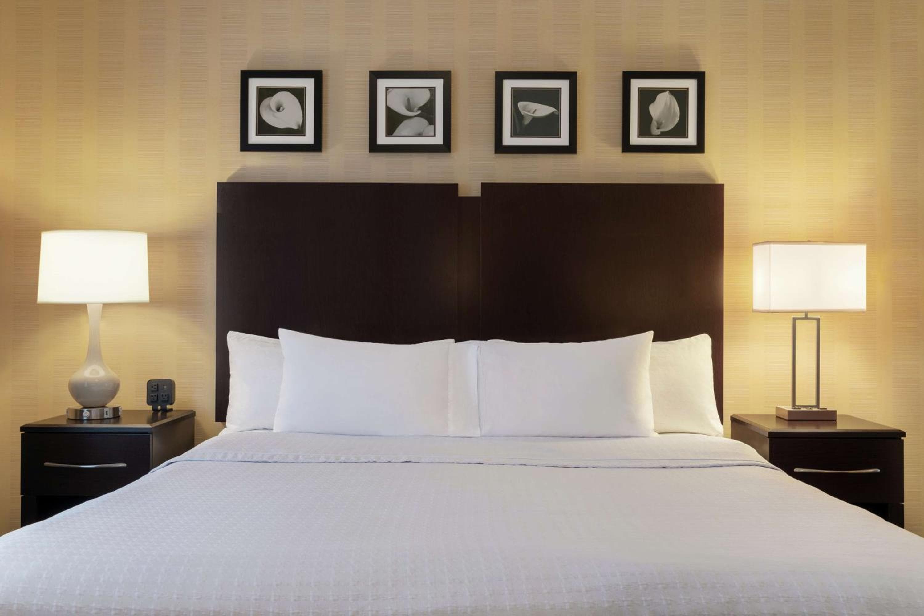 Homewood Suites by Hilton Newtown - Langhorne, PA, Newtown, photo 4