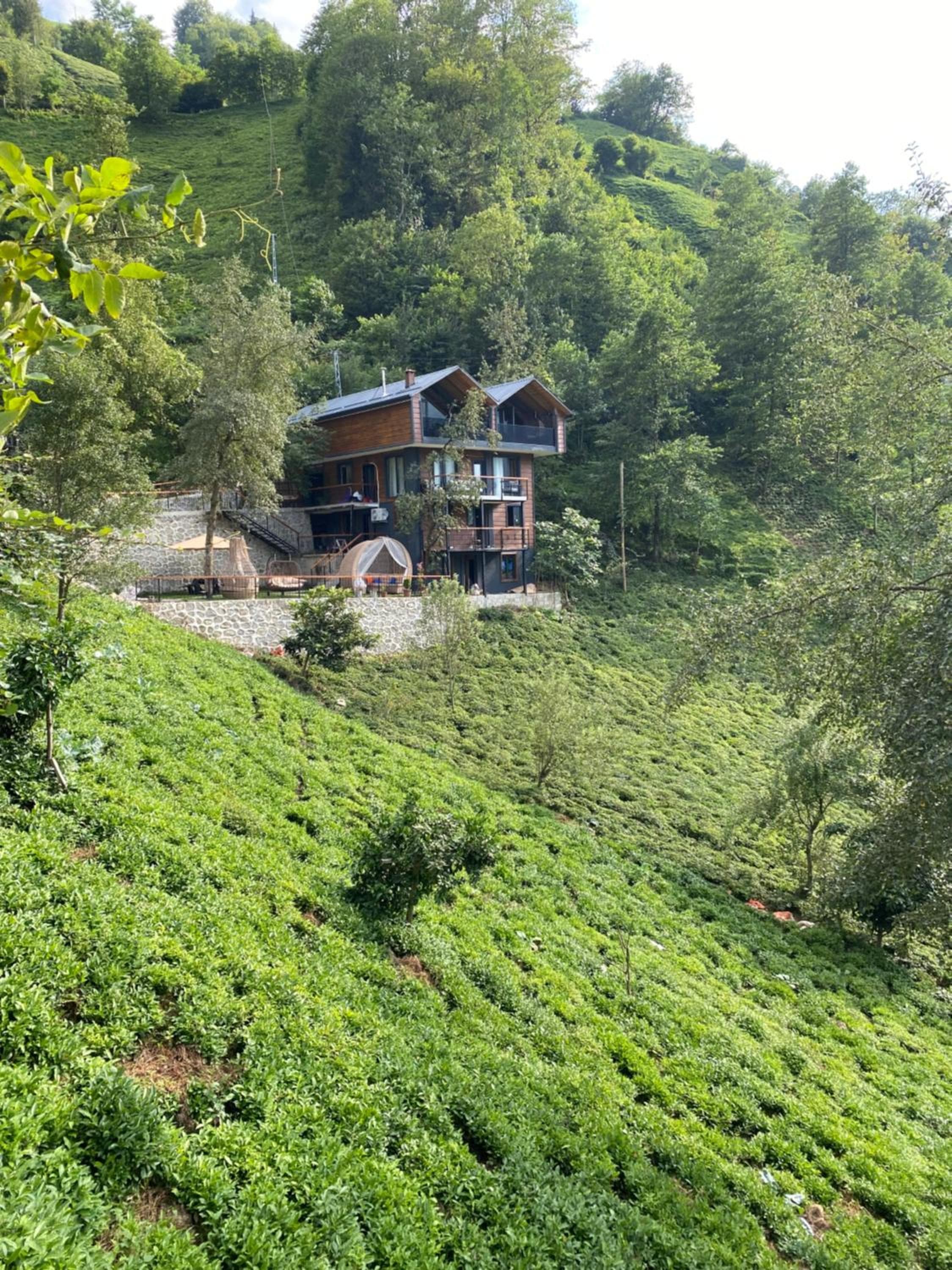 Mezrasuit Bungalov, Çamlıhemşin