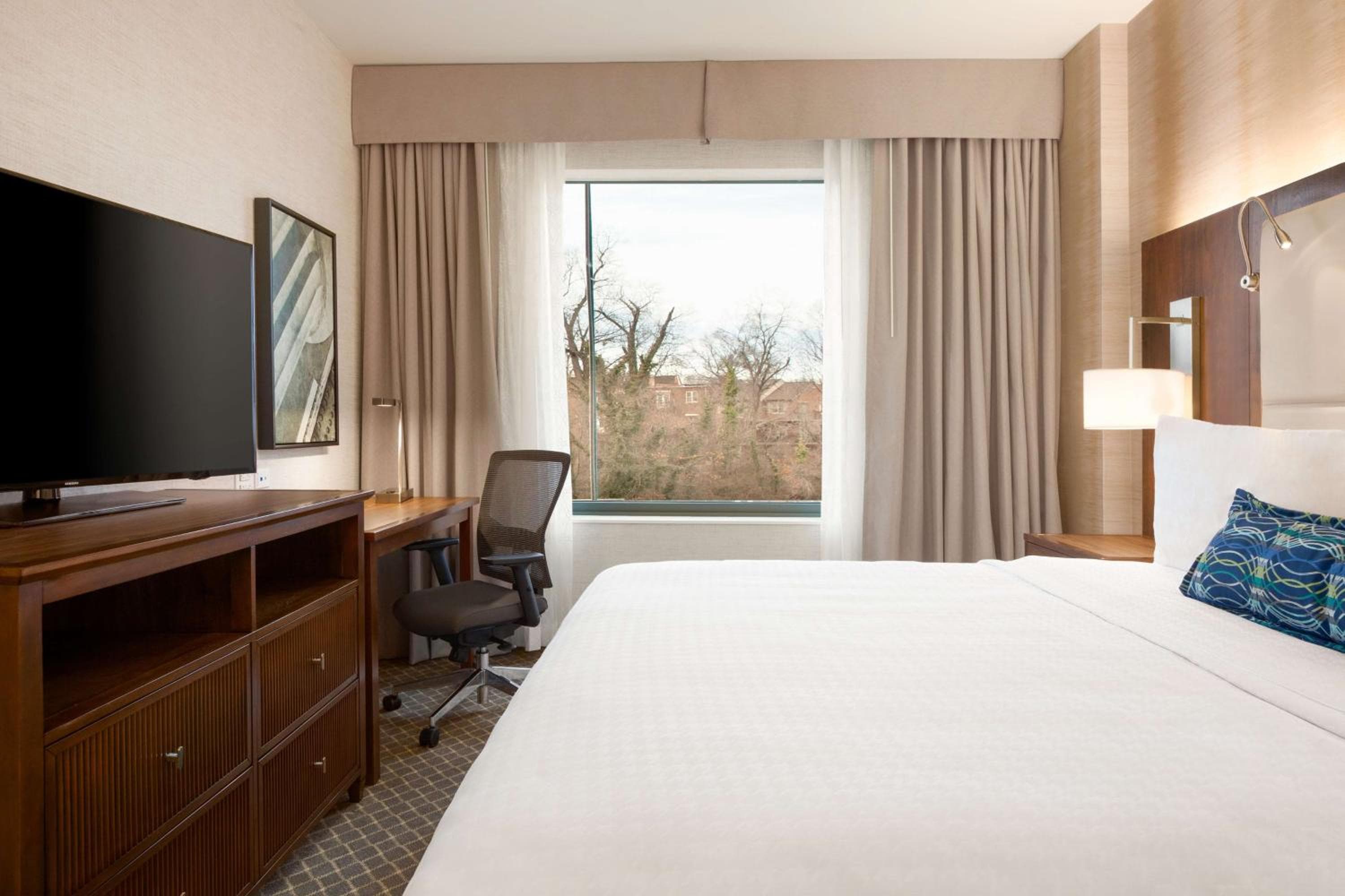 Homewood Suites By Hilton Arlington Rosslyn Key Bridge, Arlington, photo 3