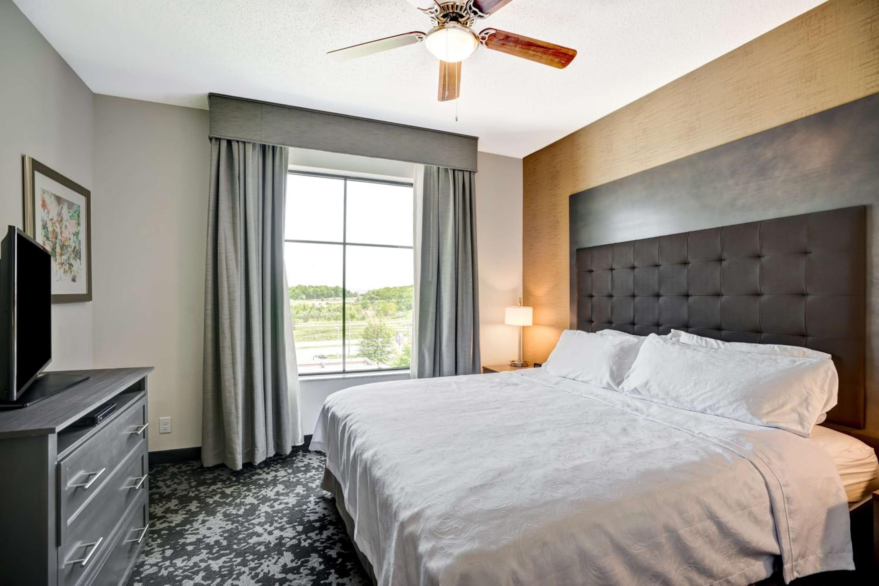 Homewood Suites by Hilton Christiansburg, Christiansburg, photo 3