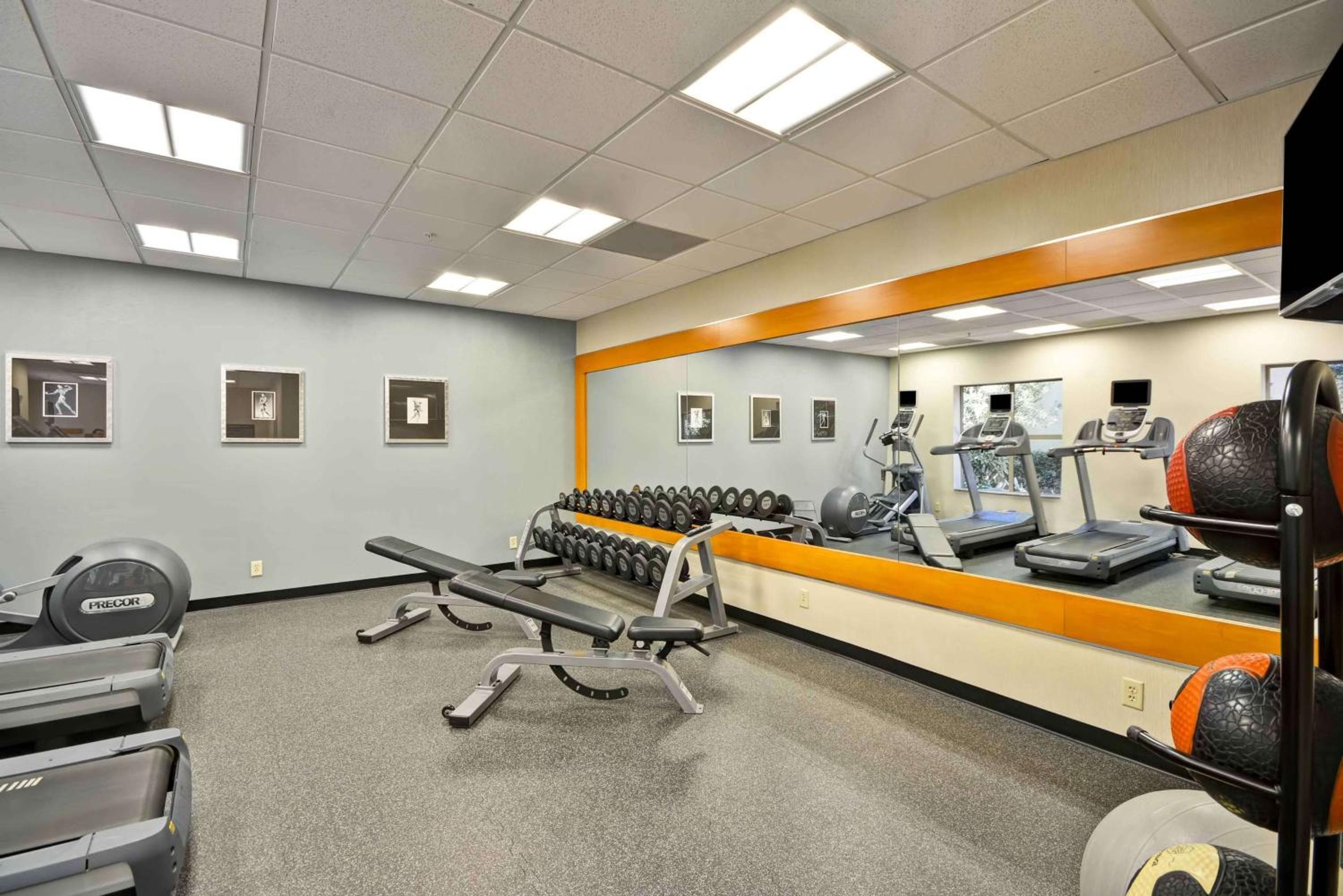 Homewood Suites Dallas-Frisco, Frisco, photo 2