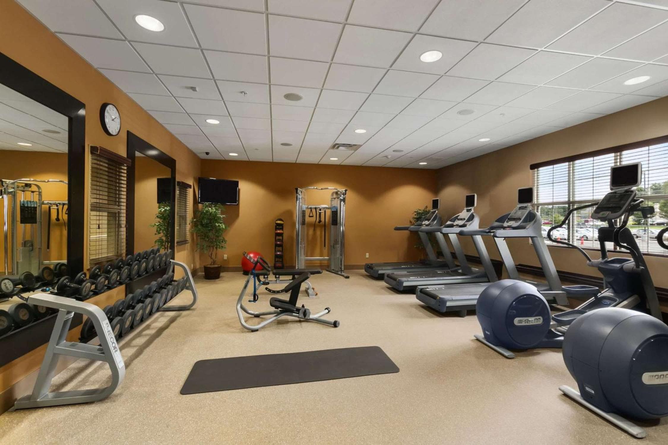 Homewood Suites by Hilton Binghamton/Vestal, Vestal, photo 5