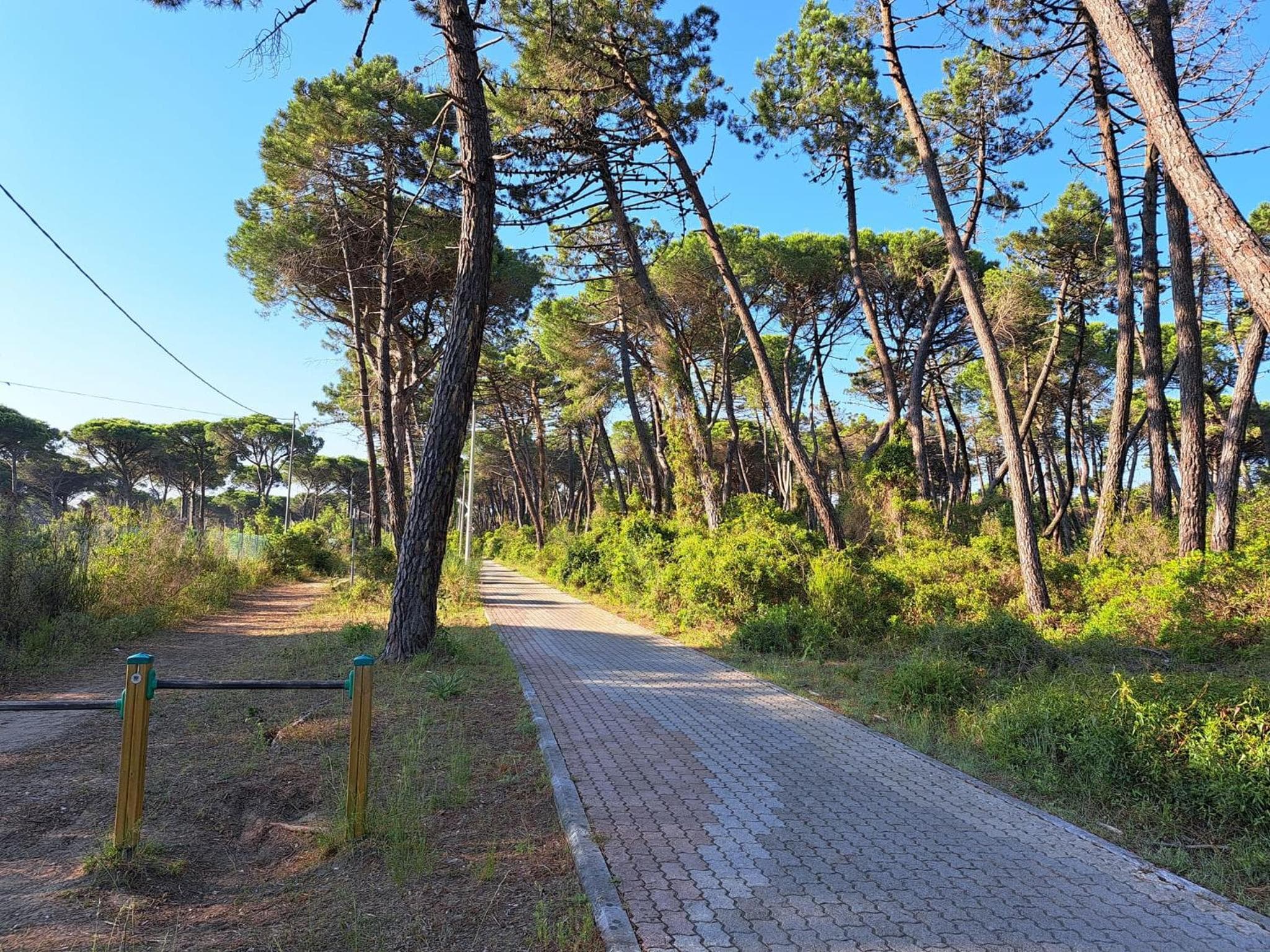 Mareblù - Tuscany Green Aparthotel, Principina a Mare, photo 3