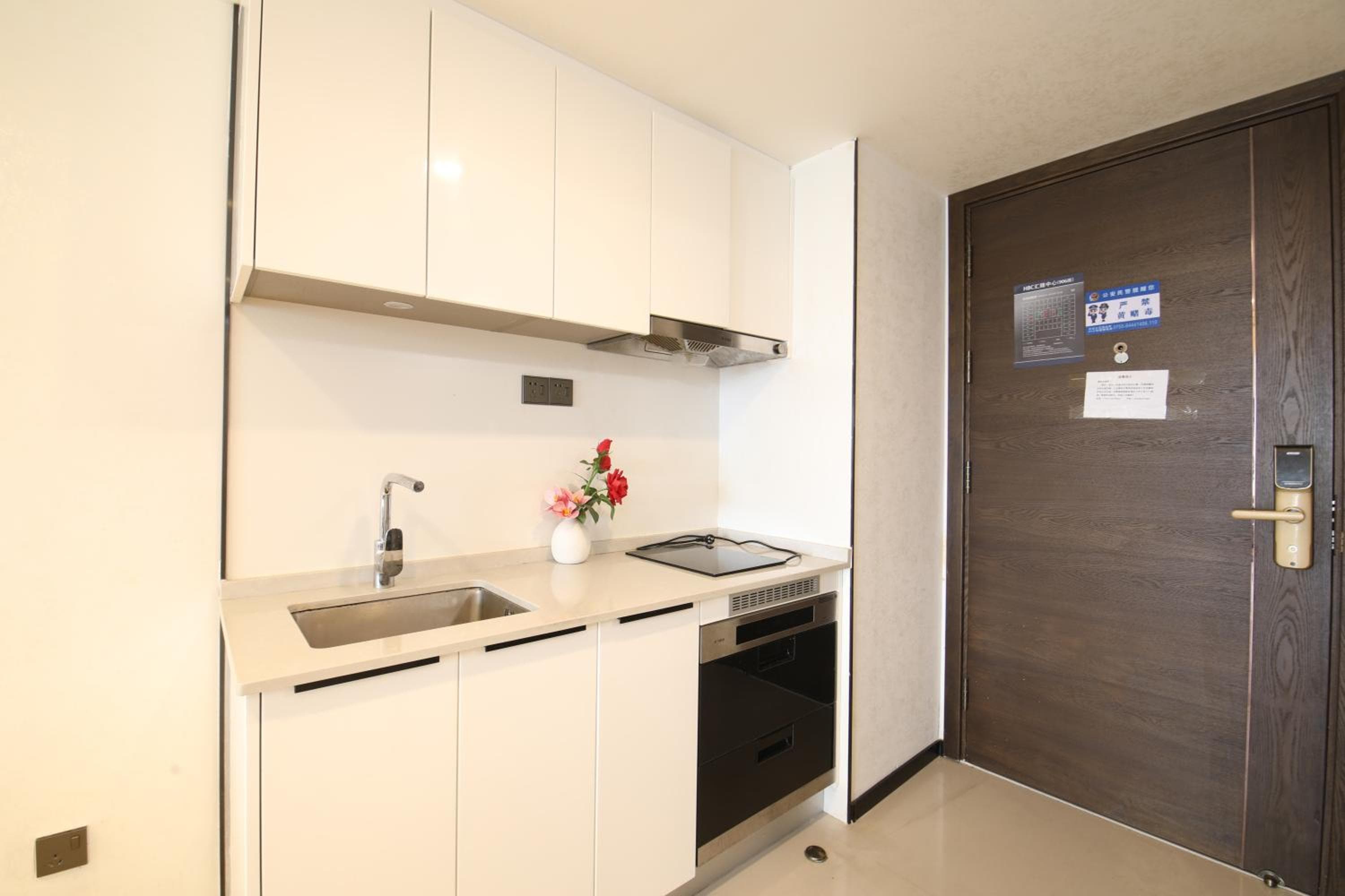 Xinghe Times Apartment Shenzhen North Railway Station, Shenzhen, photo 6