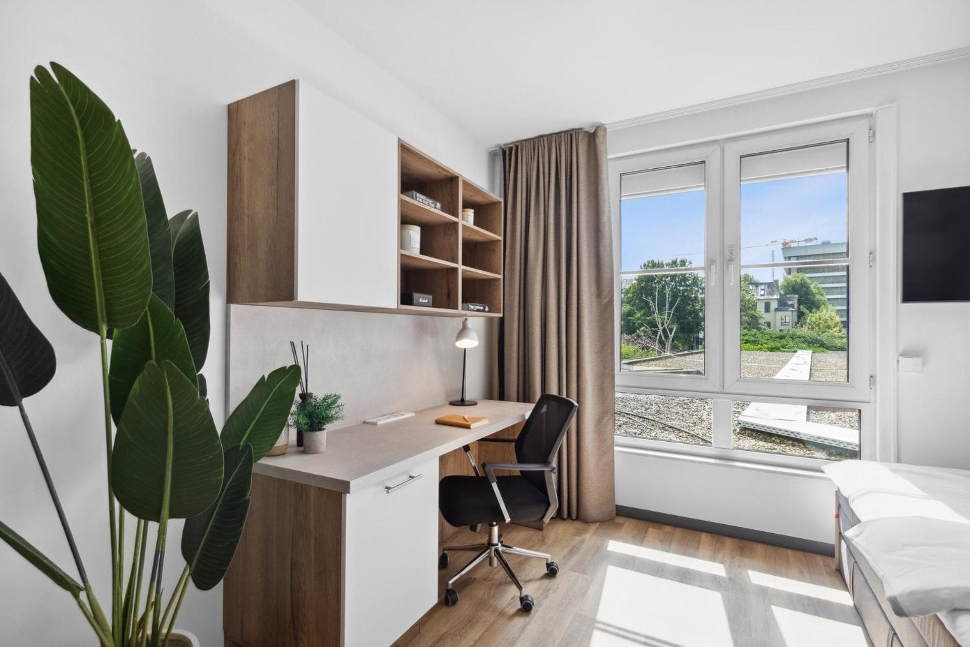Home and CoLiving Bonn I Aparthotel, Bonn, photo 4