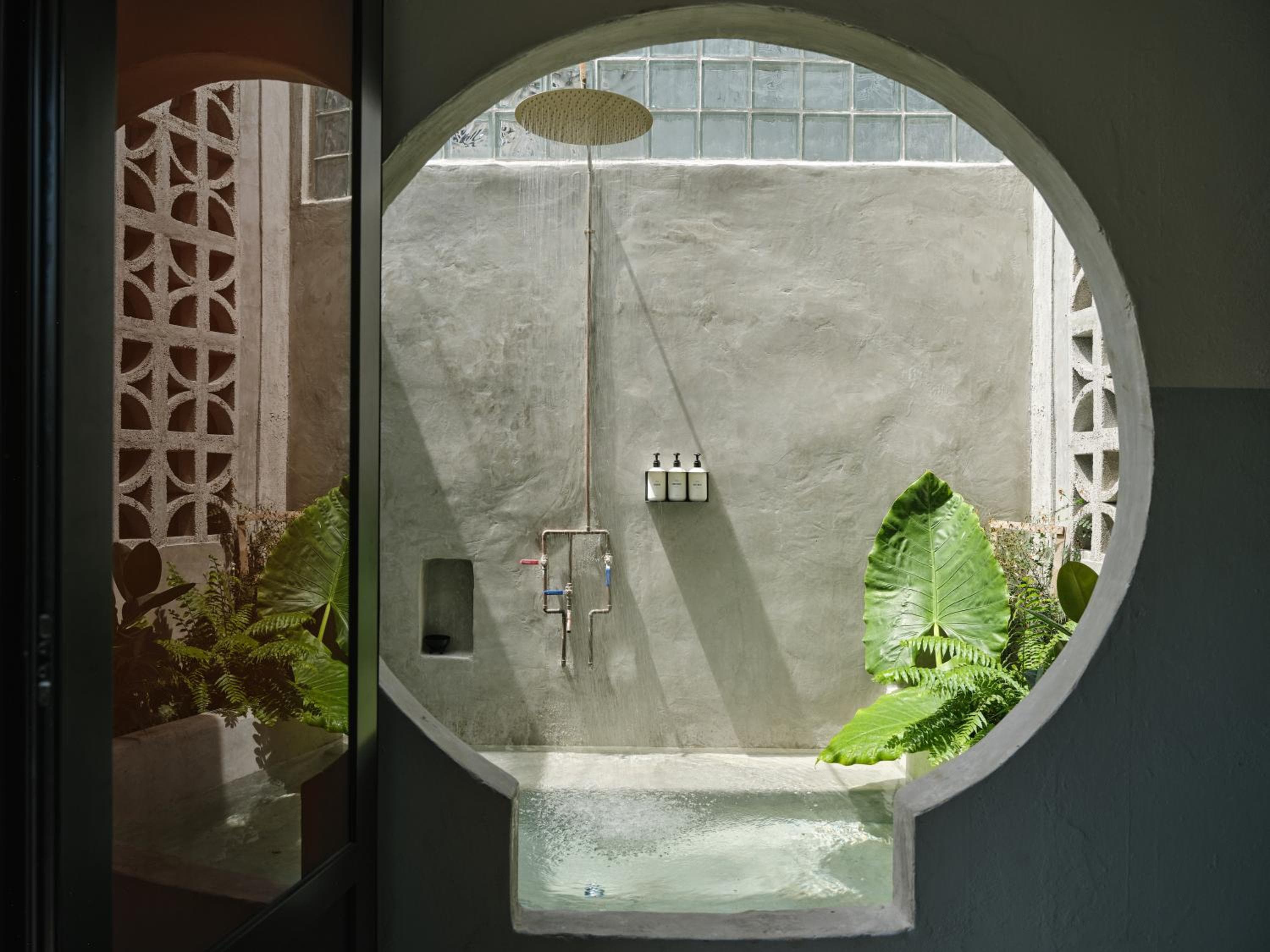 VERDE by DW, San Juan, photo 2