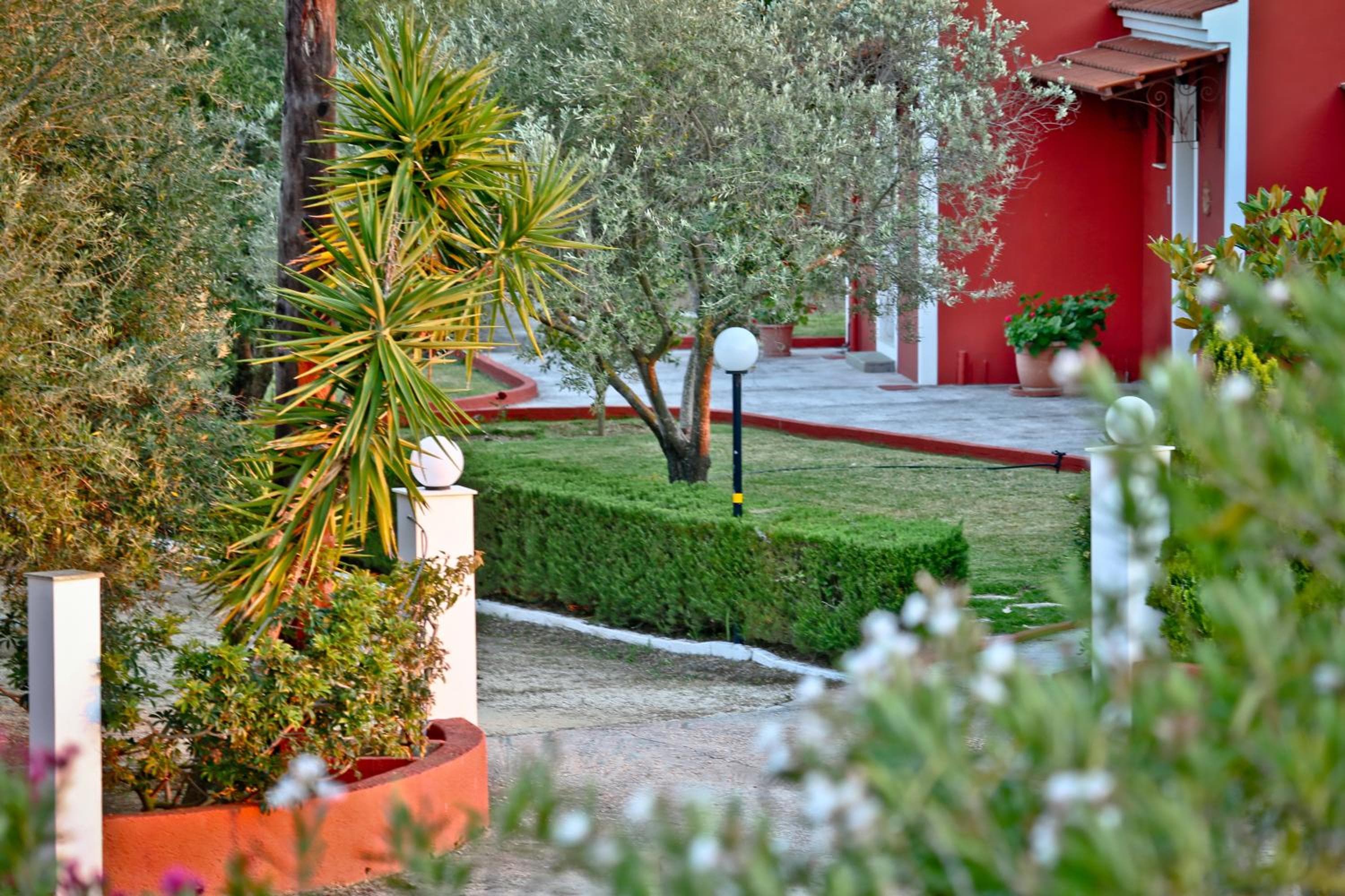 Dendrolivano, Minia, photo 3