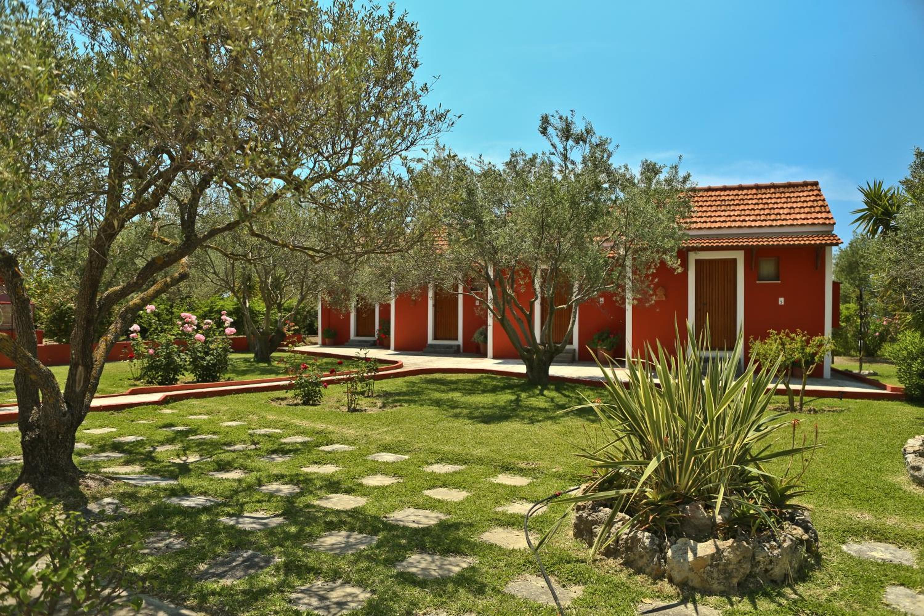 Dendrolivano, Minia