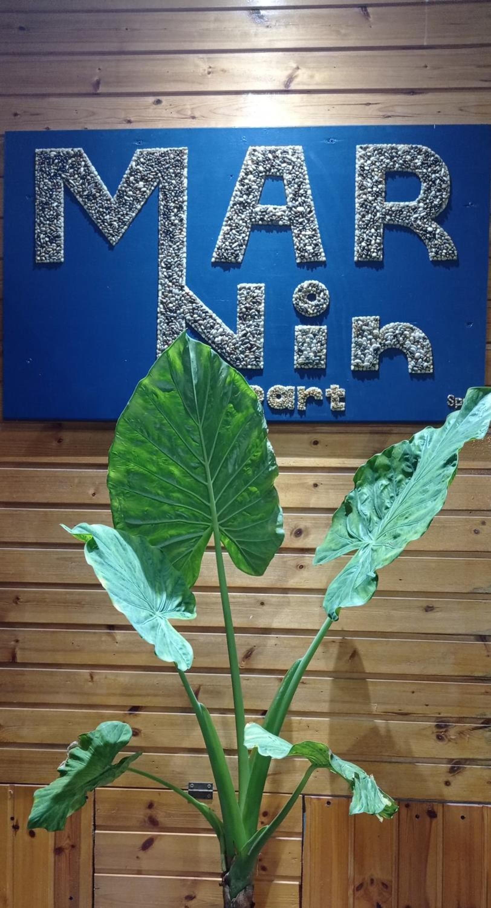 Marnin city Apart Hotel Rhodes, Rhodes Town, photo 5