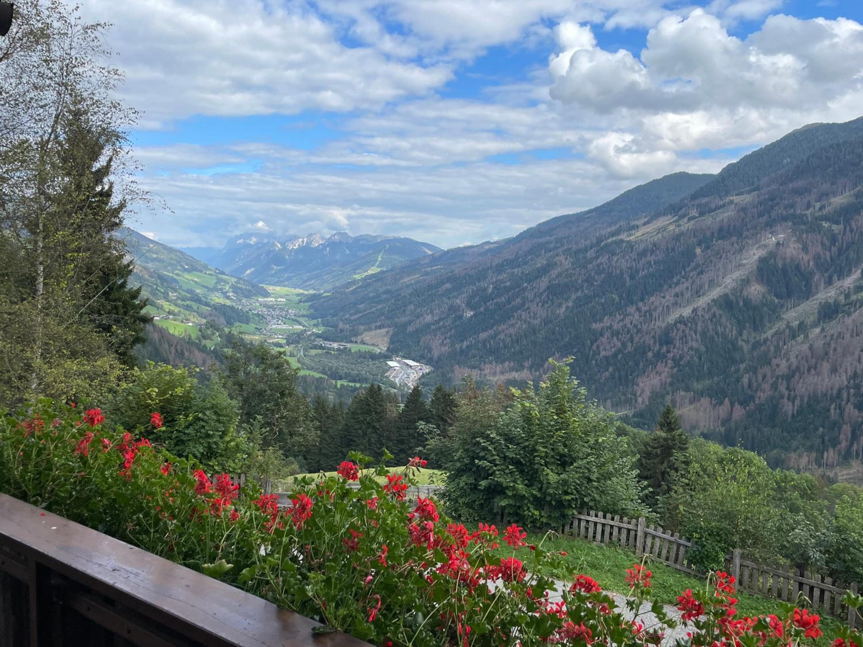 Da Kathi, San Candido, photo 6