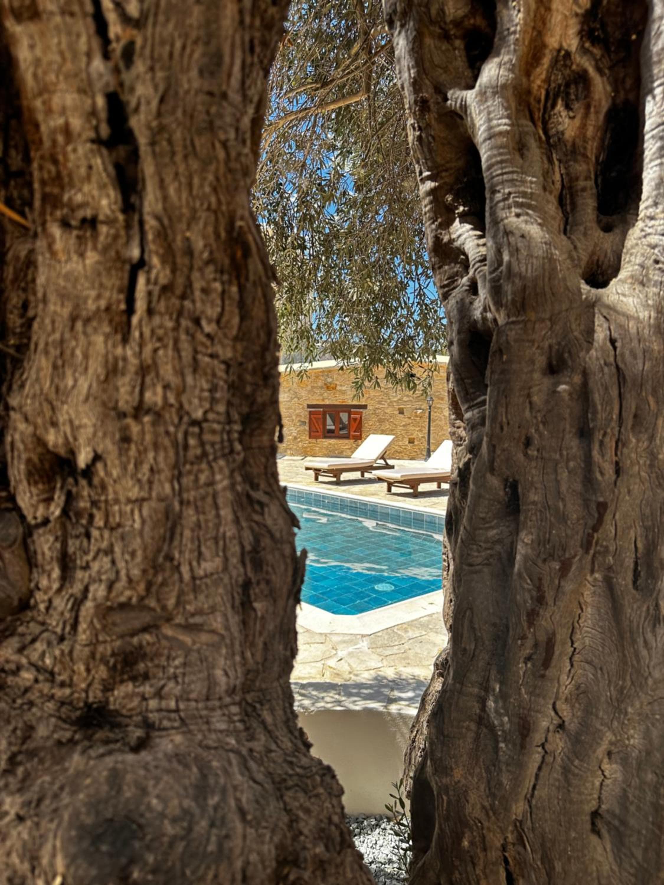 Stone Court Boutique Studios, Paphos City, photo 2