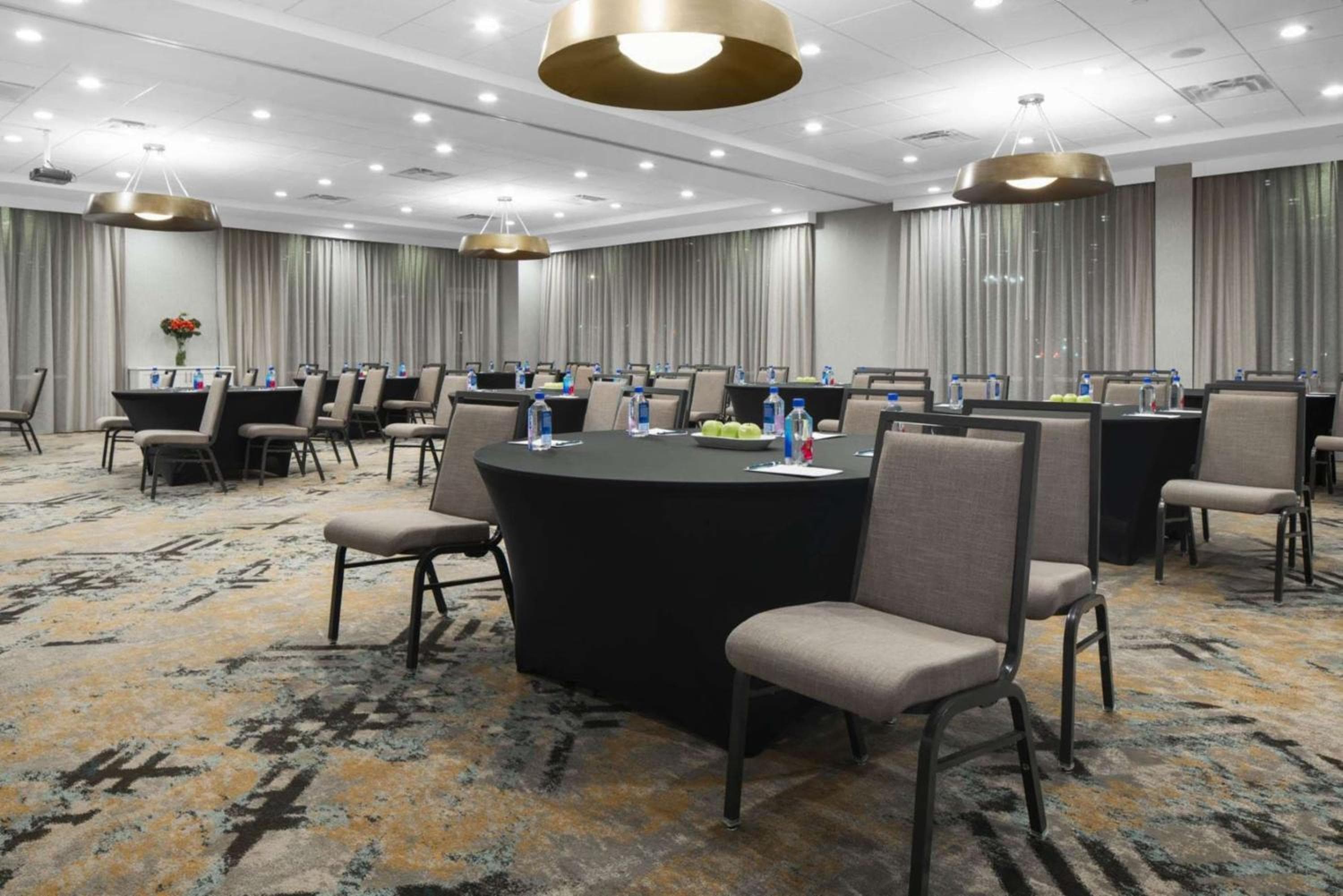 Homewood Suites by Hilton DFW Airport South, TX, Fort Worth, photo 4