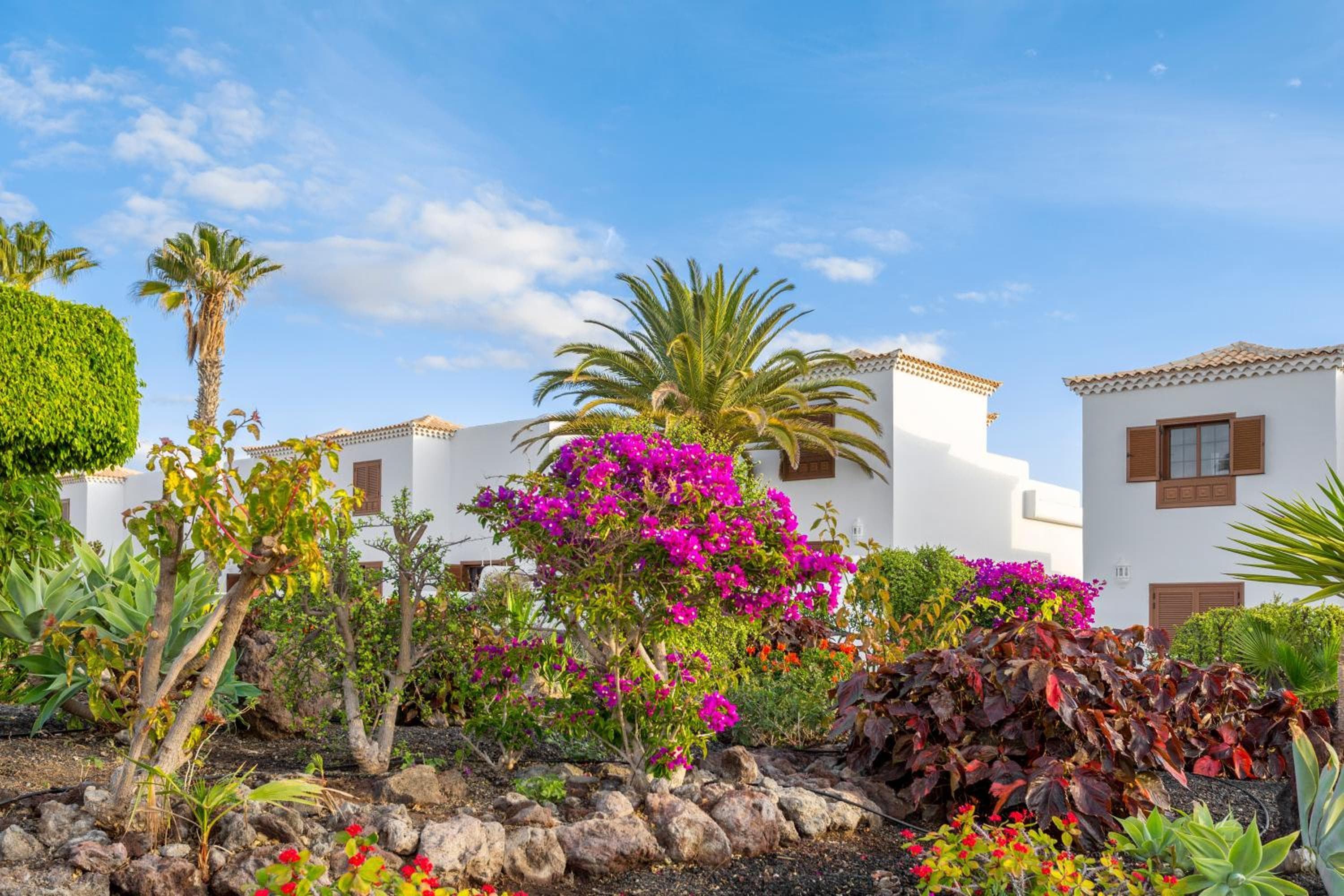 Royal Tenerife Country Club, San Miguel de Abona, photo 5