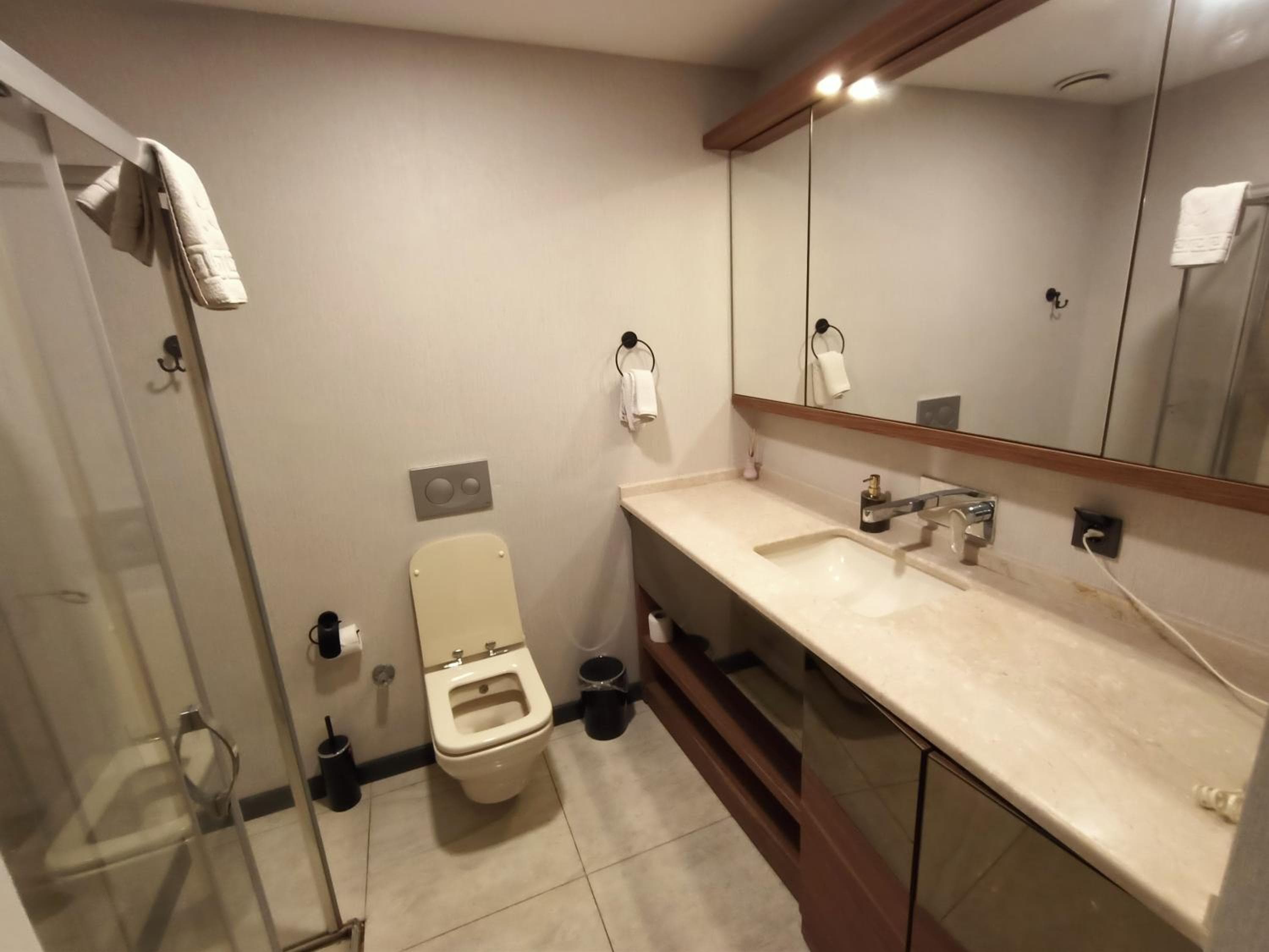 NEW FALCON Palas OTEL, Istanbul, photo 5