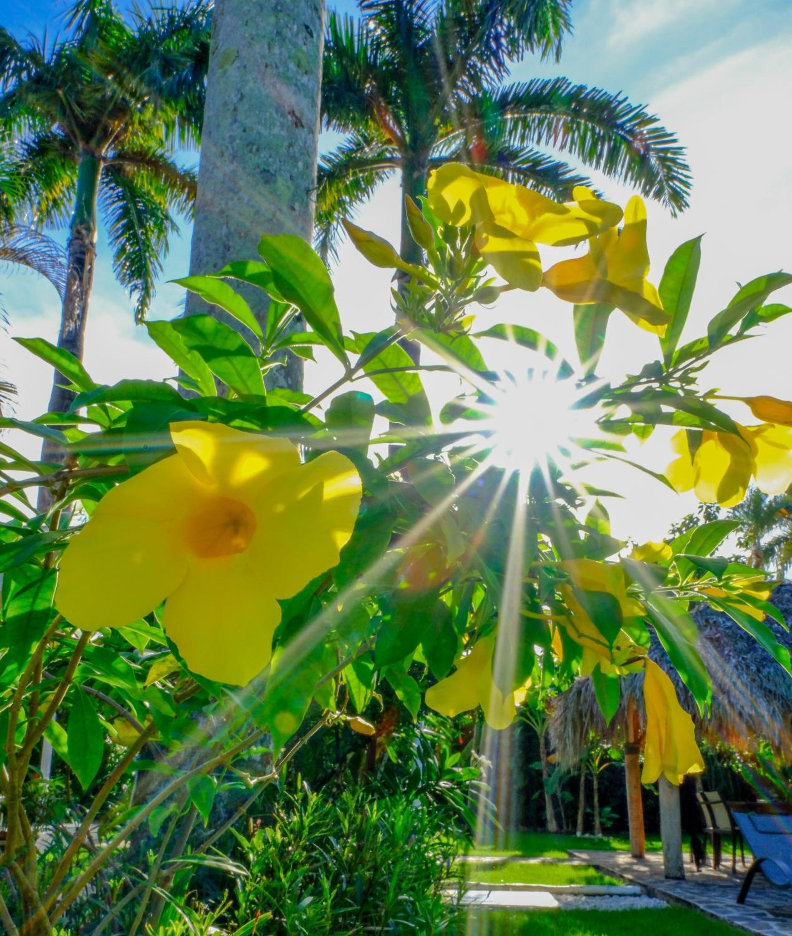 Hotel Enjoy, Las Terrenas, photo 5