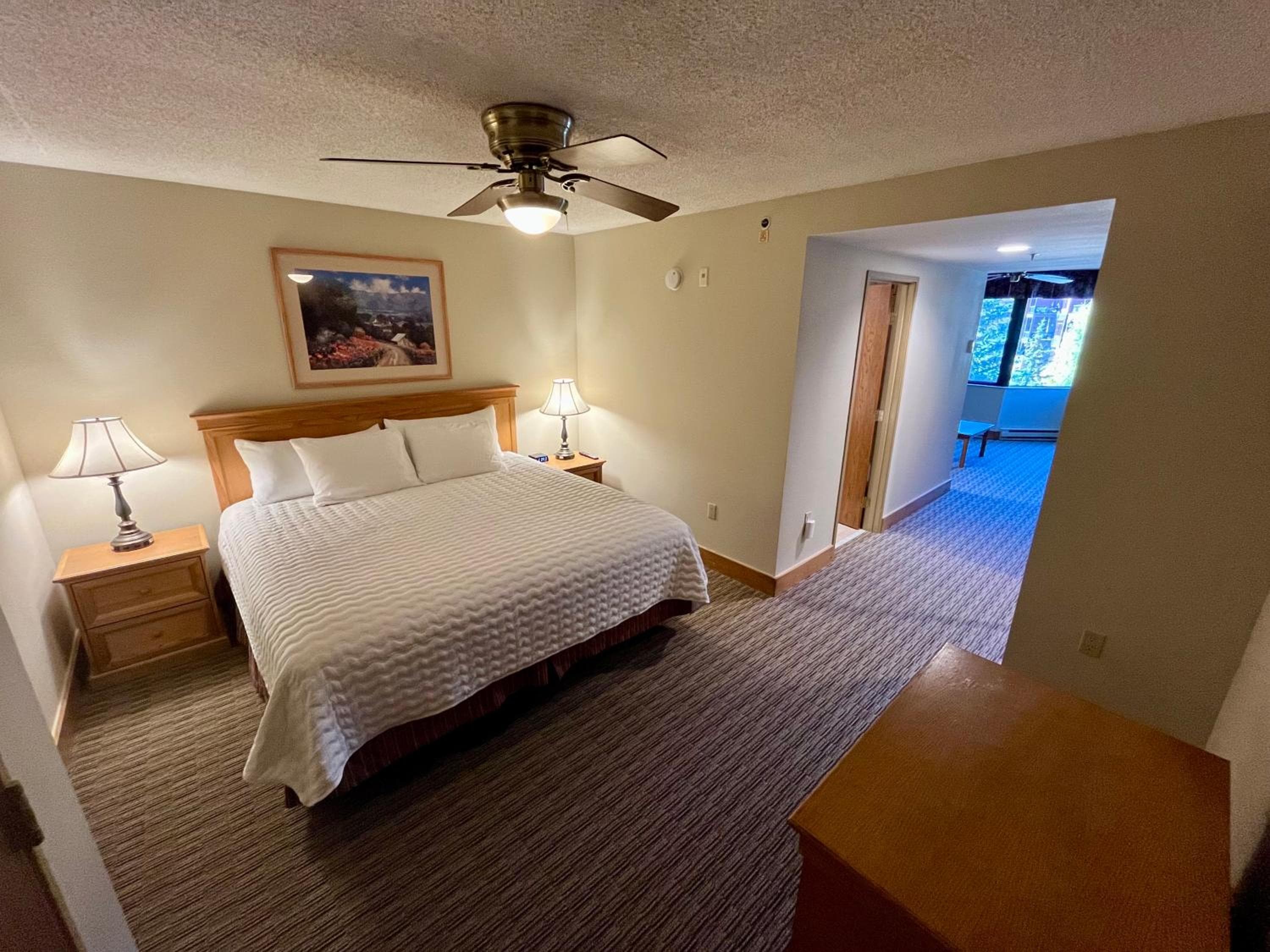 MT CB Base Area with King Bed, Outdoor Hot Tub & Pool, Crested Butte, photo 3