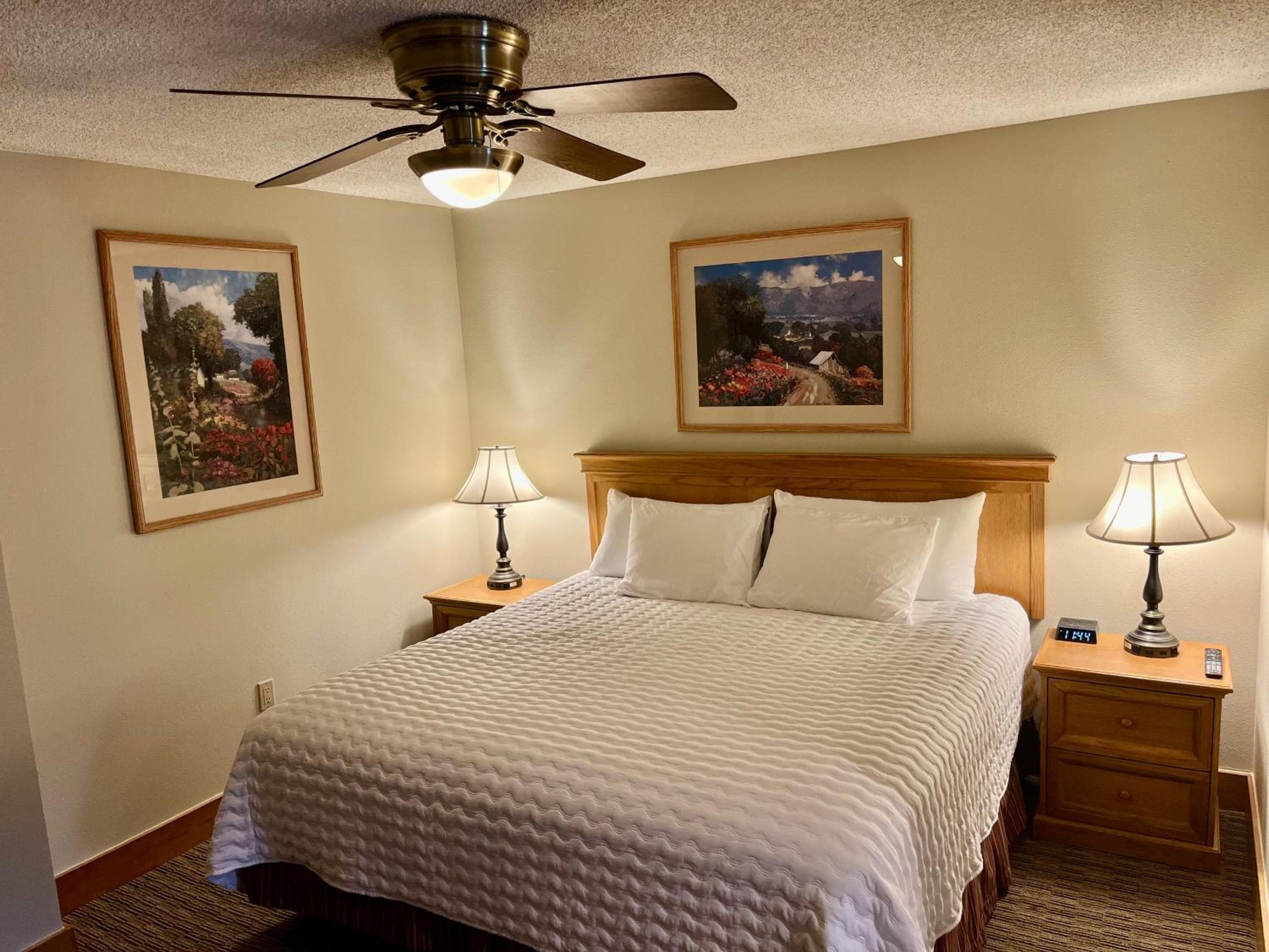 MT CB Base Area with King Bed, Outdoor Hot Tub & Pool, Crested Butte, photo 2