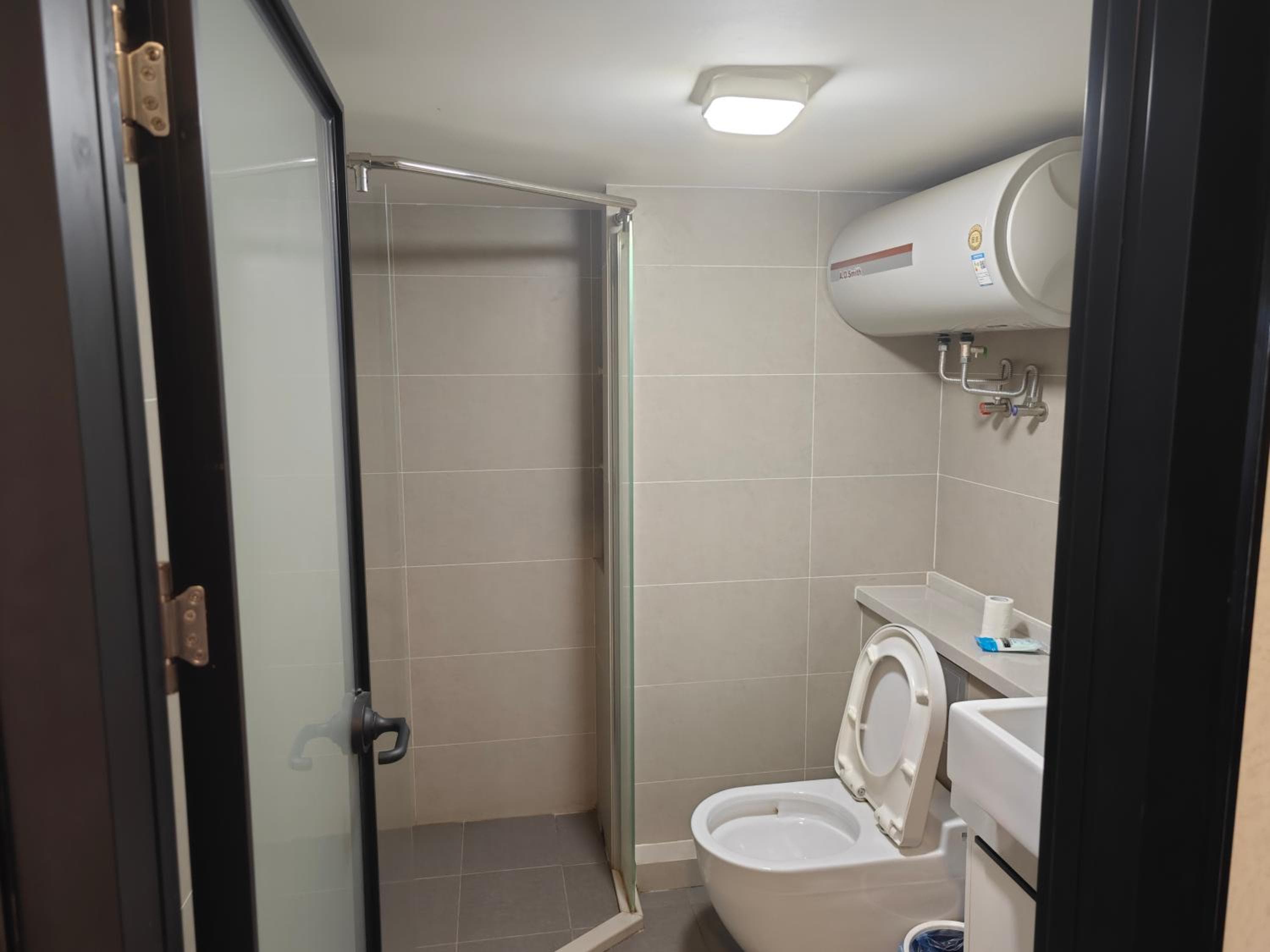 Xinghe Times Apartment Shenzhen North Railway Station, Shenzhen, photo 5