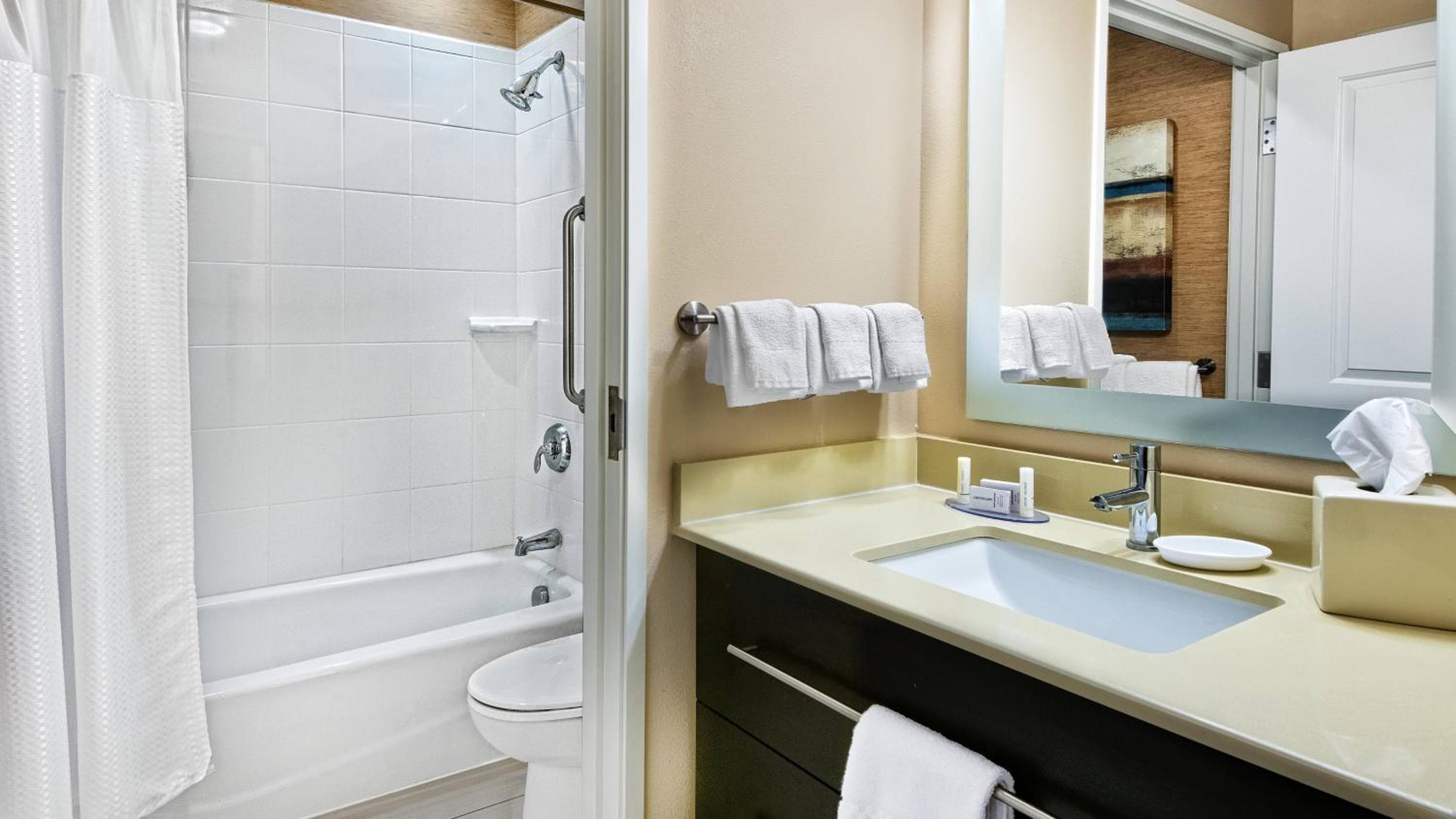 TownePlace Suites by Marriott San Antonio Downtown Riverwalk, San Antonio, photo 6