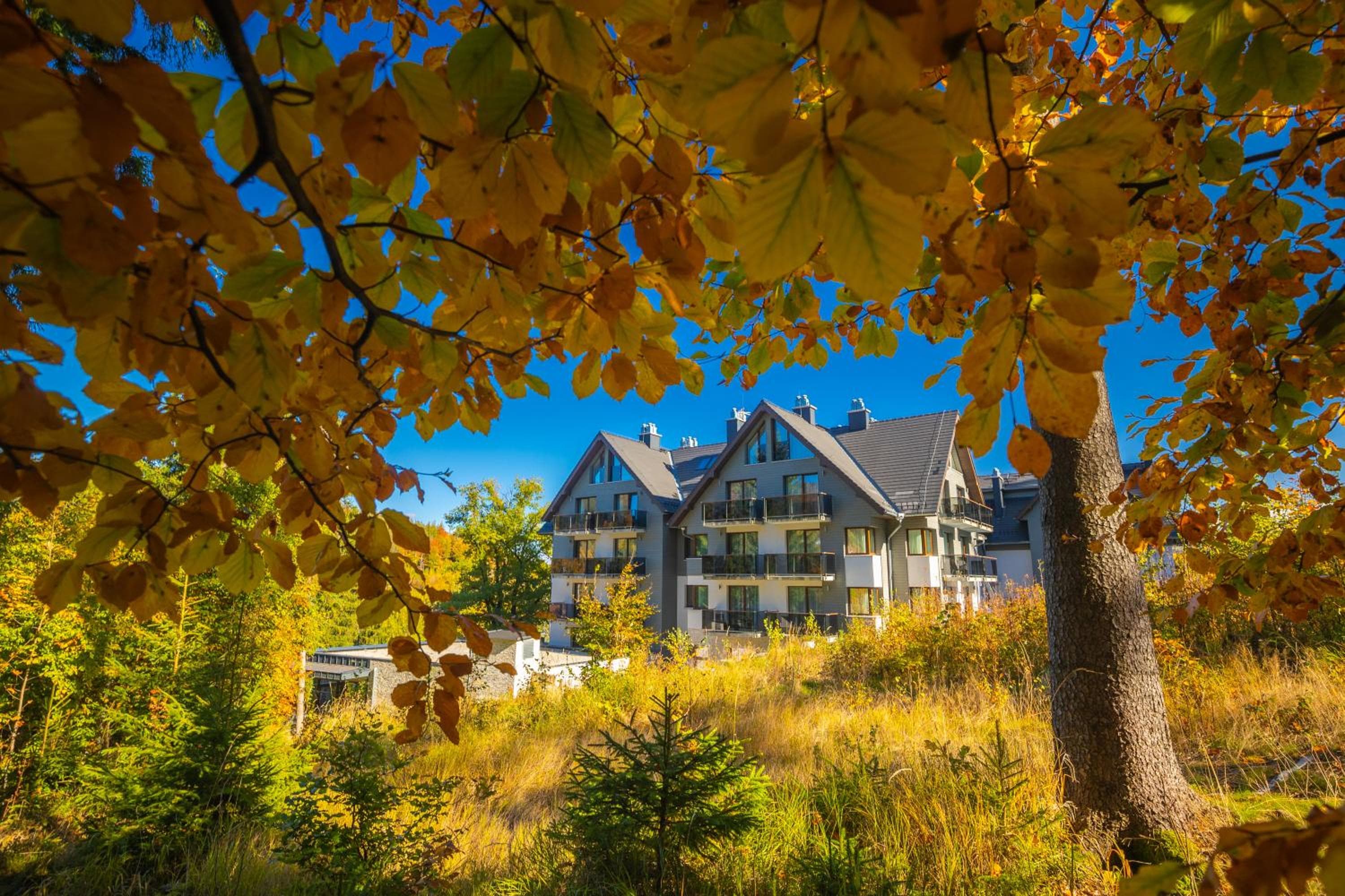 Czarny Kamień Resort & SPA, Szklarska Poręba