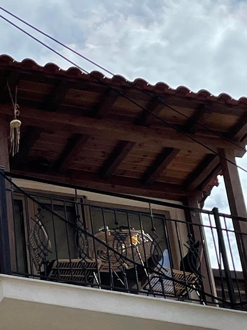 Eumorphia Studios & Apartments, Skiathos Town, photo 4