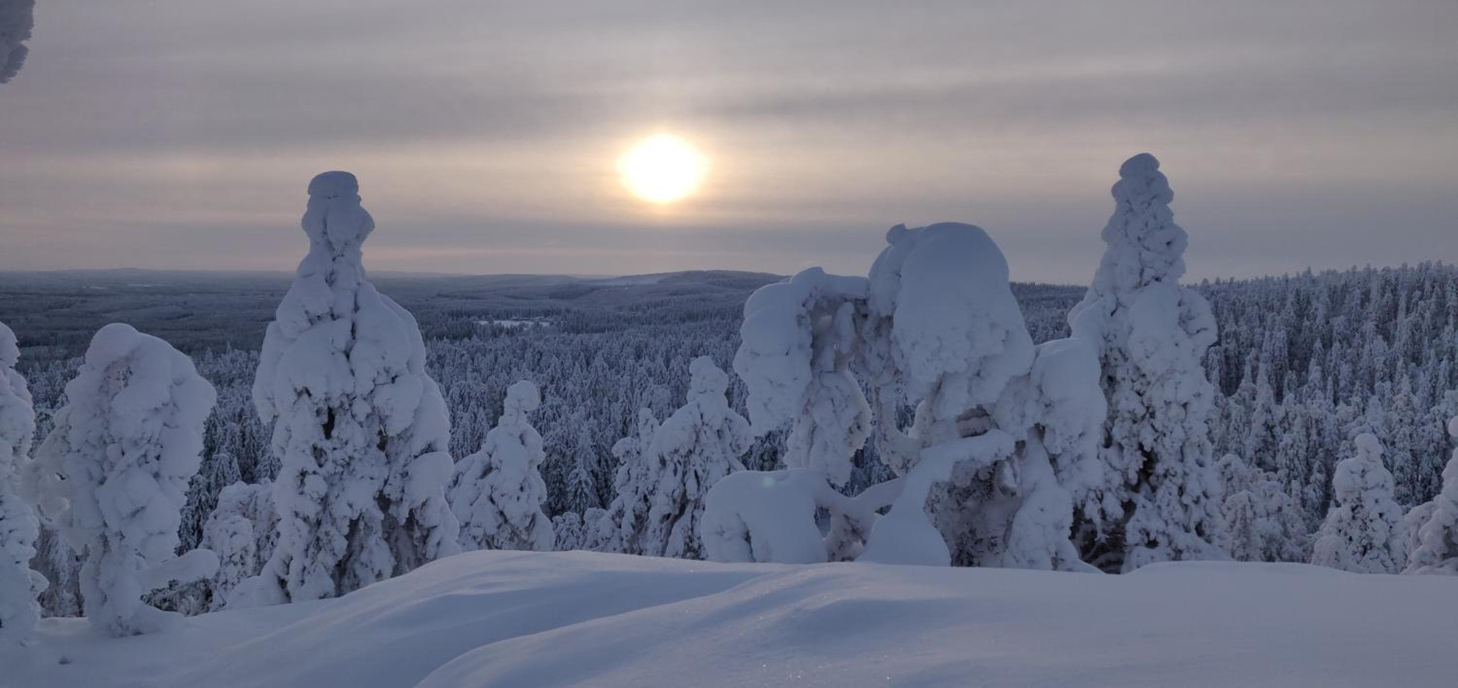 Vuokatti Booking Suites, Vuokatti, photo 3
