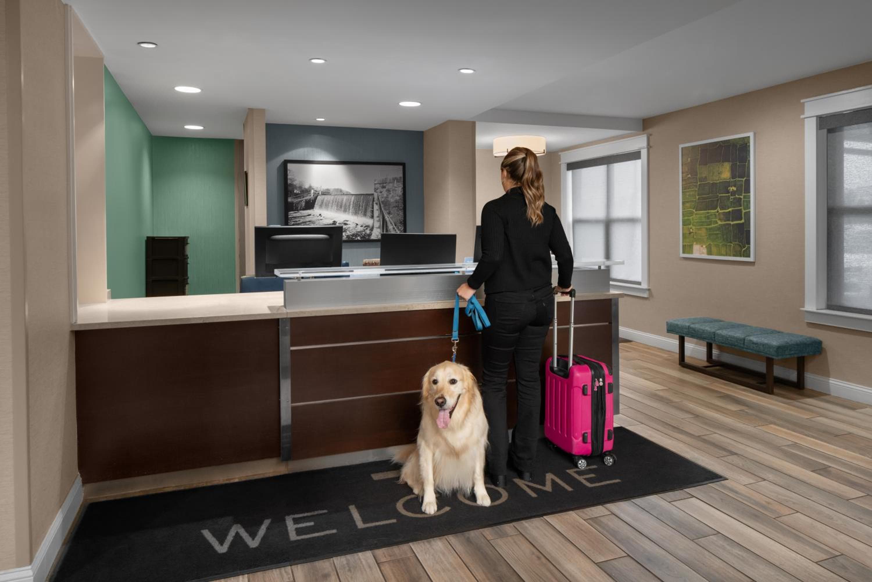 Residence Inn Boston Dedham, Dedham, photo 4
