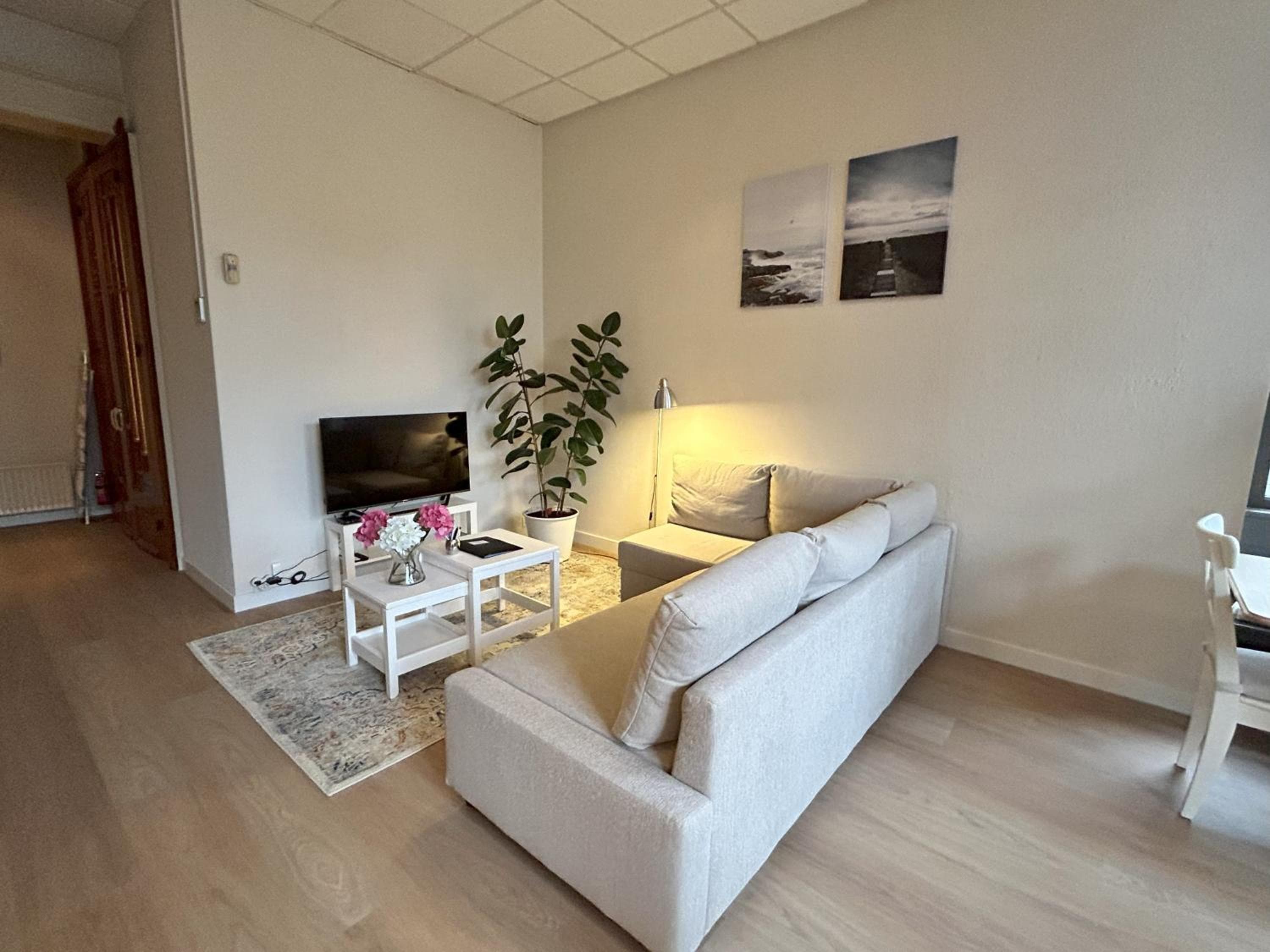 Cozy independent Studio S2, City Centre Dordrecht, Dordrecht, photo 5