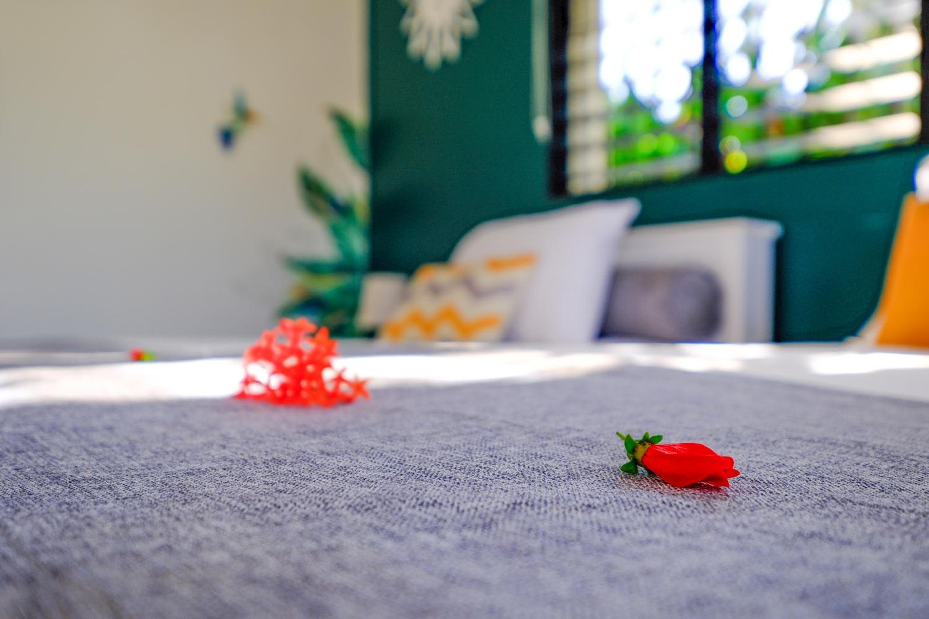 Hotel Enjoy, Las Terrenas, photo 3