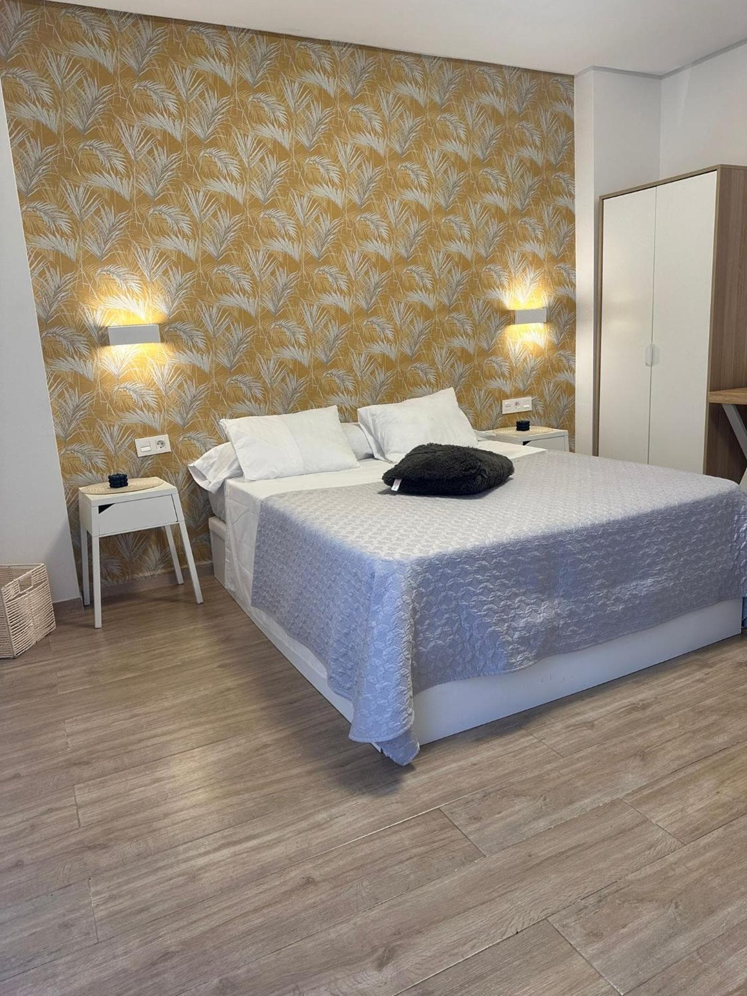 Estudio Dreams alicante, Alicante