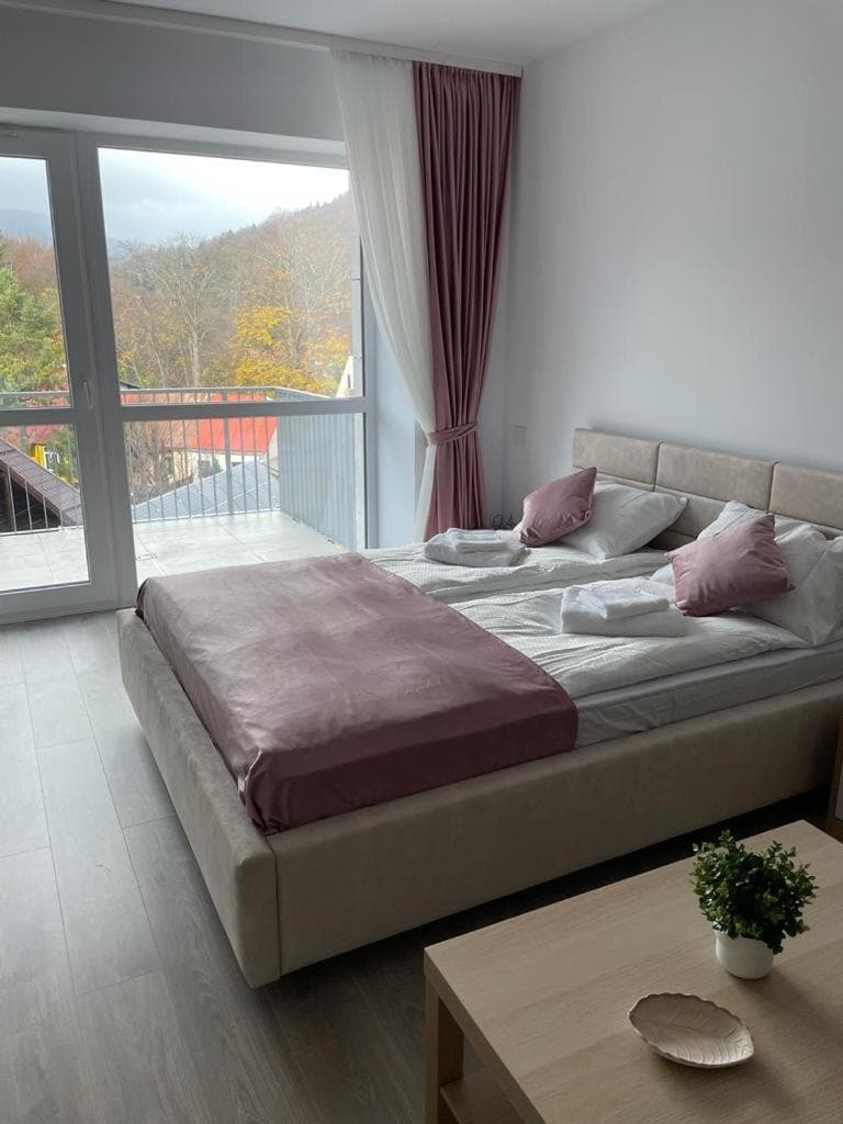 AVA Studio Sinaia, Sinaia, photo 5