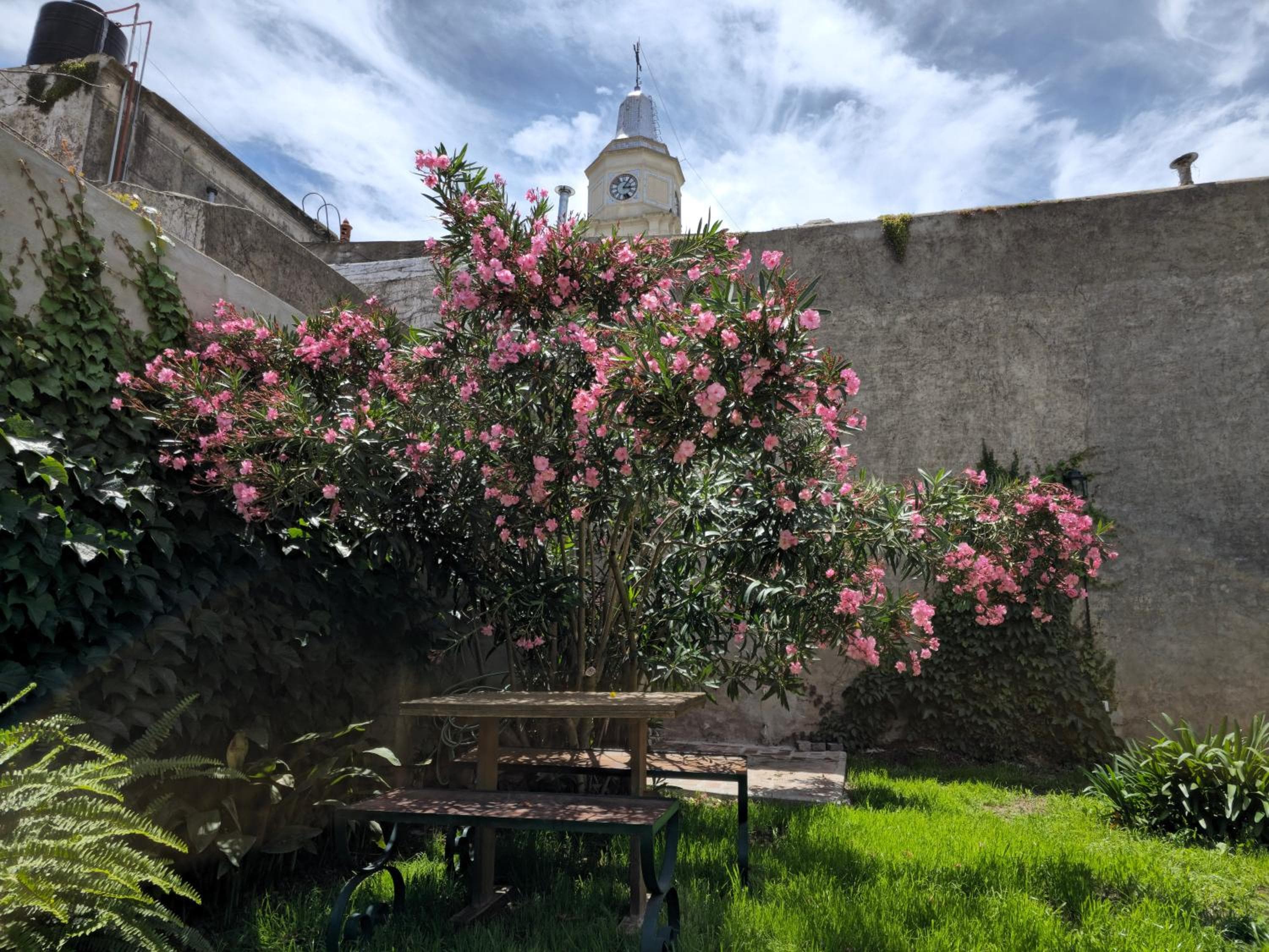 Posada del Atelier, San Antonio de Areco, photo 2
